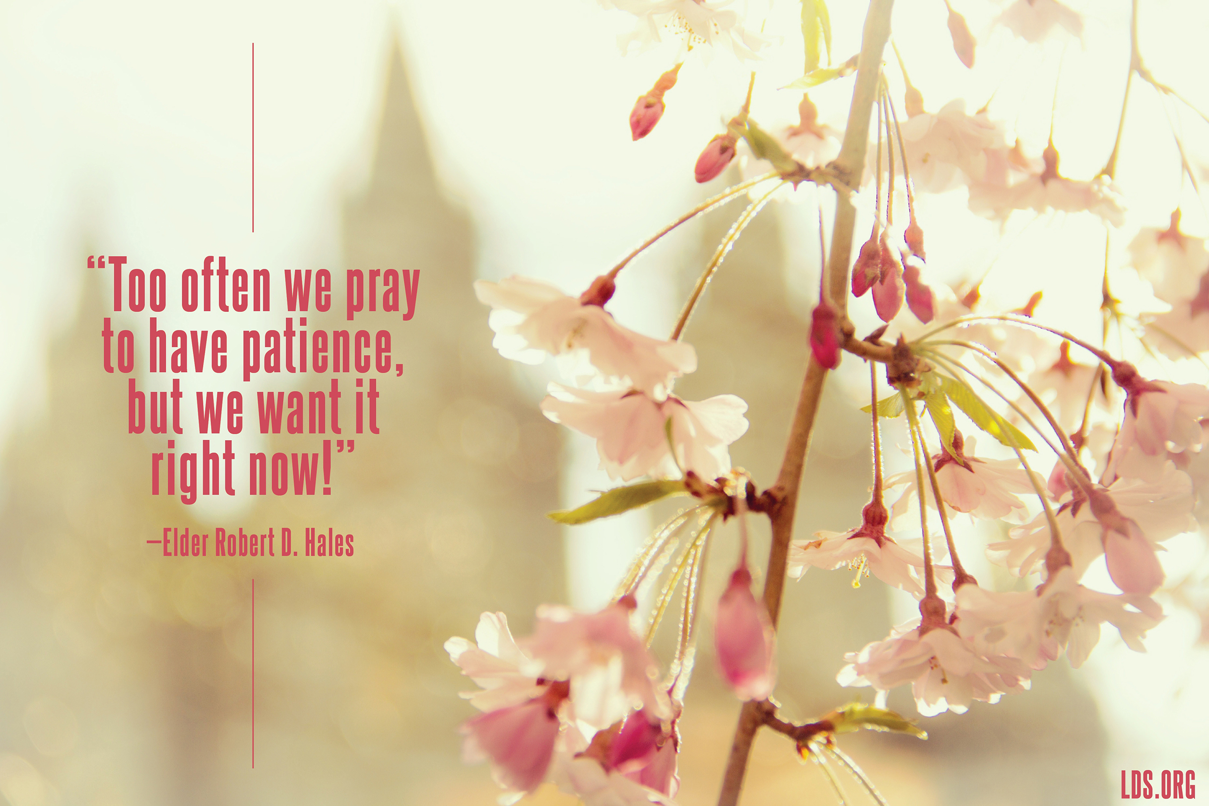 Gospel Media - Lds Picture Quotes Spring , HD Wallpaper & Backgrounds