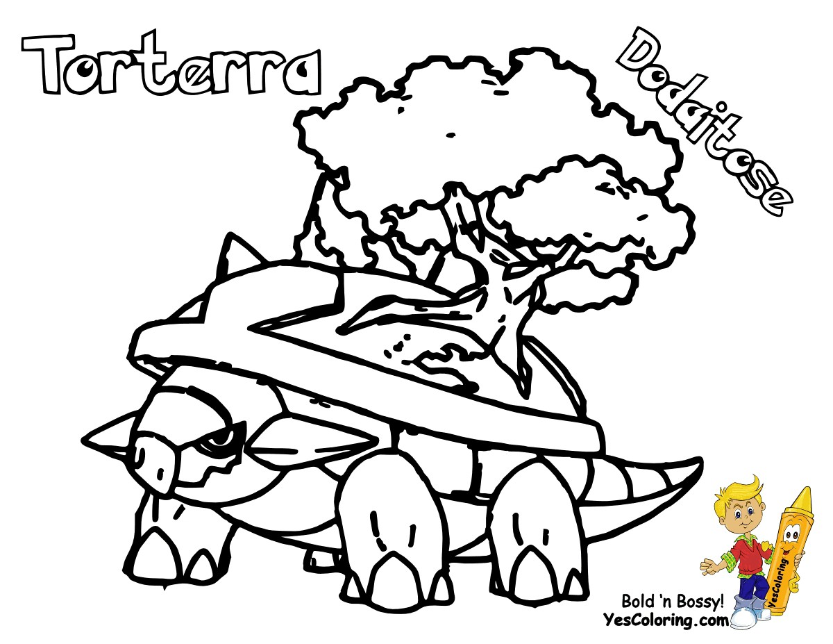 Pokemon Torterra Coloring Pages Wallpaper Details - Harley Davidson V Rod Drawing , HD Wallpaper & Backgrounds