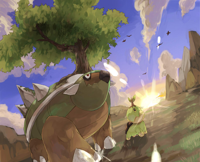 Download Pokémon Image - Turtwig And Torterra Line , HD Wallpaper & Backgrounds