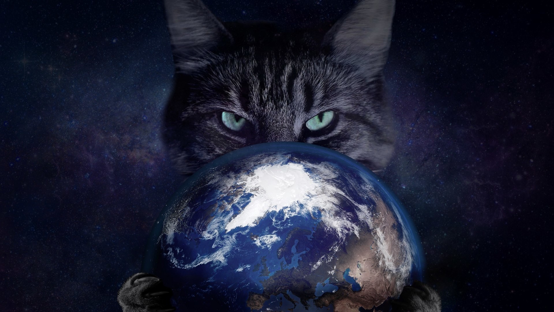 Insidious Gray Cat With The Planet Earth In The Clutches - Space Cat , HD Wallpaper & Backgrounds