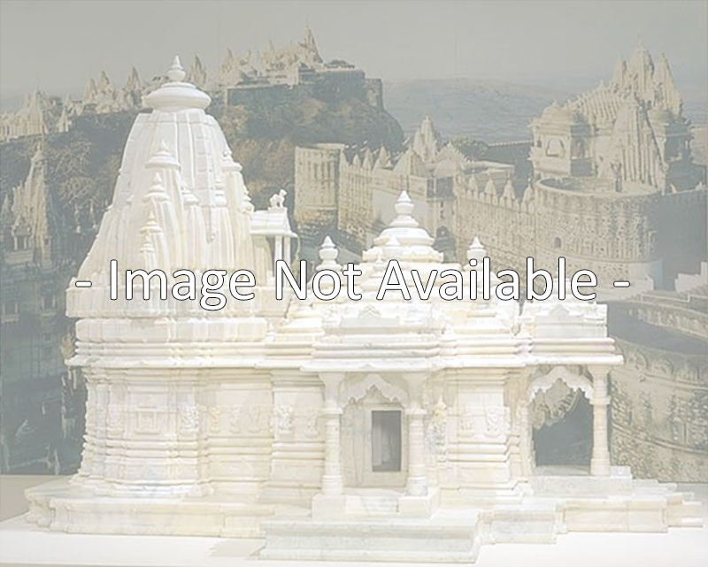 Shri Digambar Jain Chaityalay Jain Bhavan - Marble Home Mandir Design , HD Wallpaper & Backgrounds