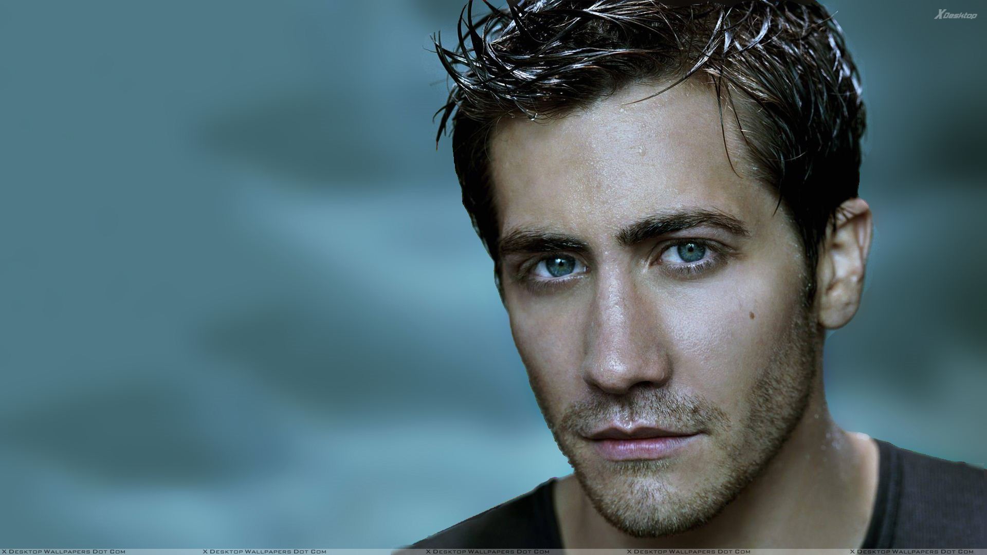 You Are Viewing Wallpaper - Jake Gyllenhaal , HD Wallpaper & Backgrounds