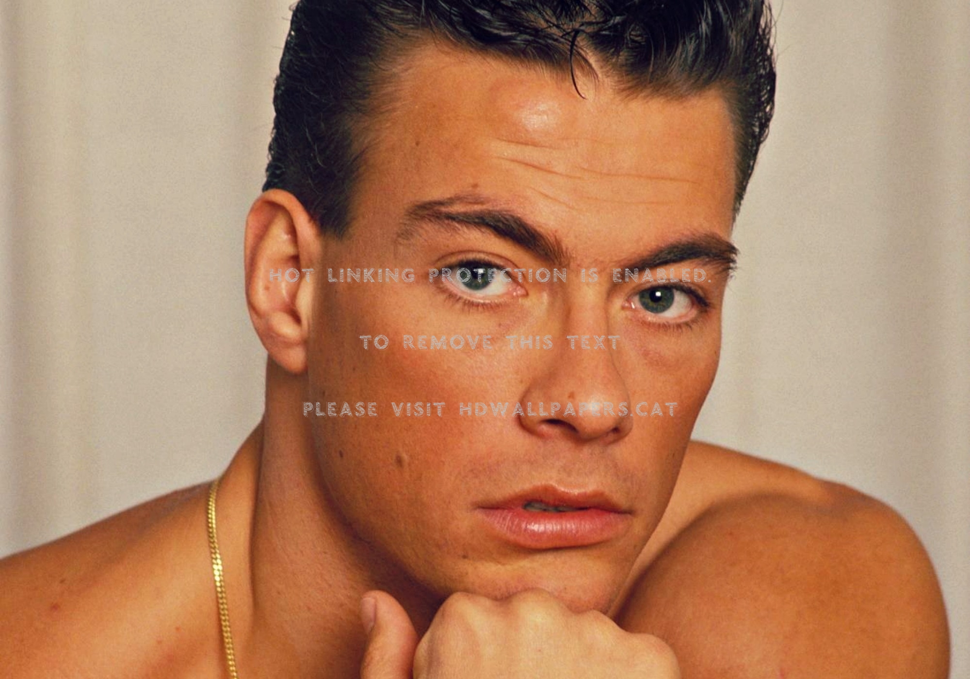 Jean Claude Van Damme , HD Wallpaper & Backgrounds