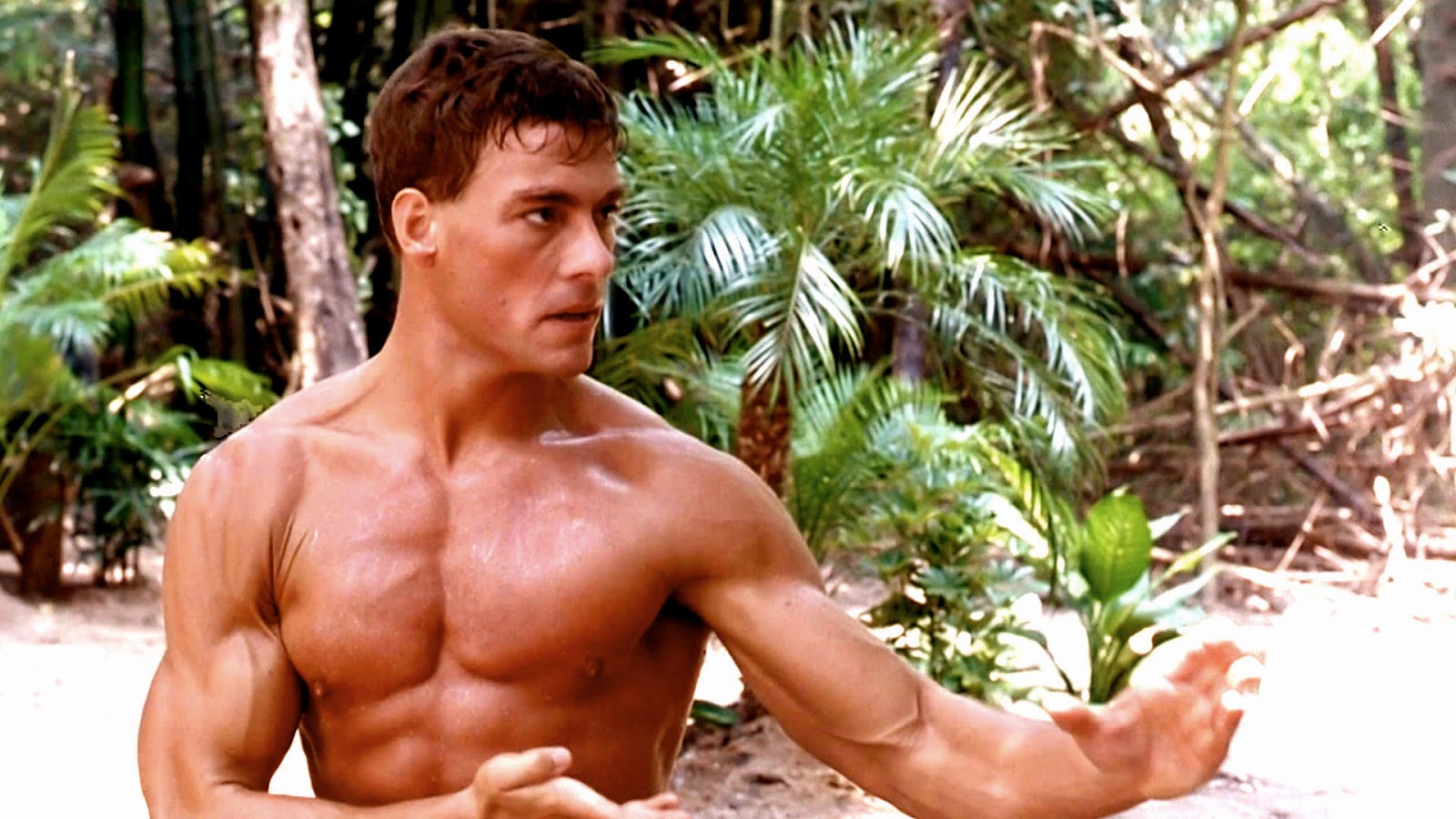 Jean Claude Van Damme - Jean Claude Van Damme Young Kick Boxer , HD Wallpaper & Backgrounds