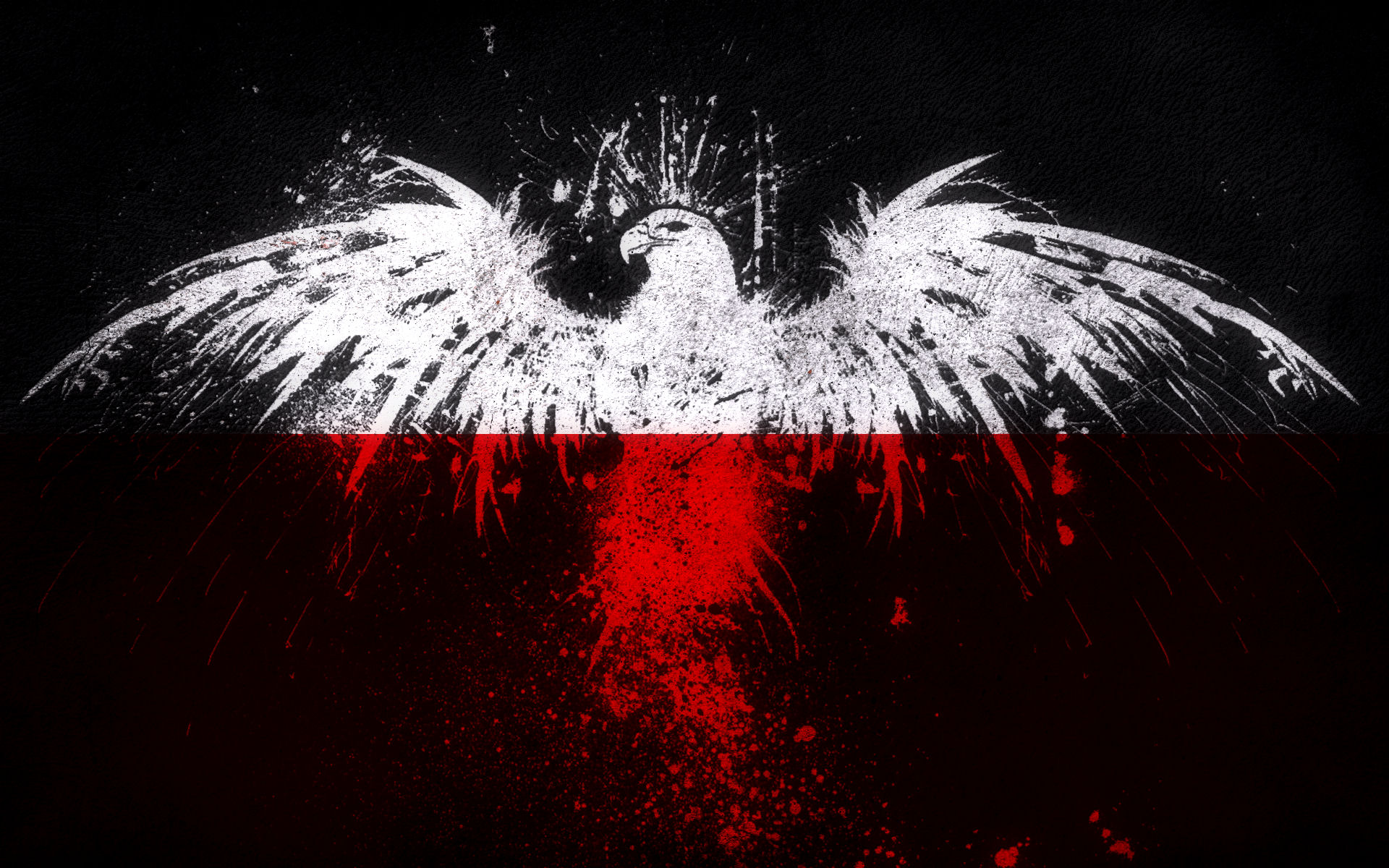 Eagle Flag Wallpaper - Assassins Creed Logo Eagle , HD Wallpaper & Backgrounds