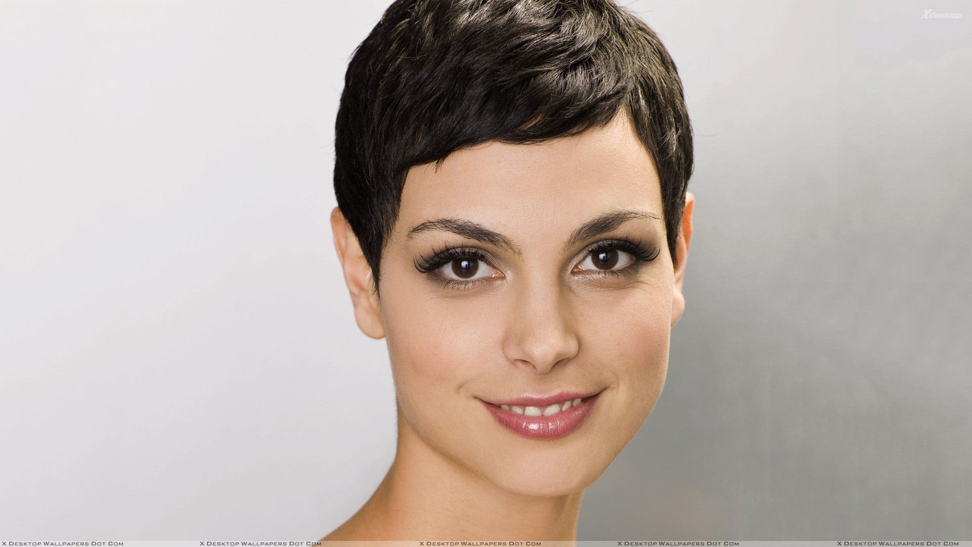 Morena Baccarin - Morena Baccarin Short Haircut , HD Wallpaper & Backgrounds