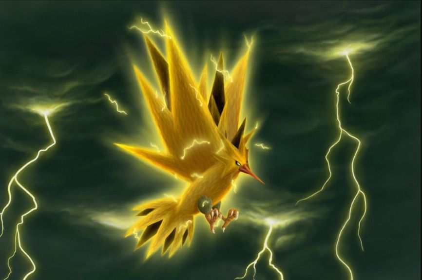 Timid Zapdos , HD Wallpaper & Backgrounds