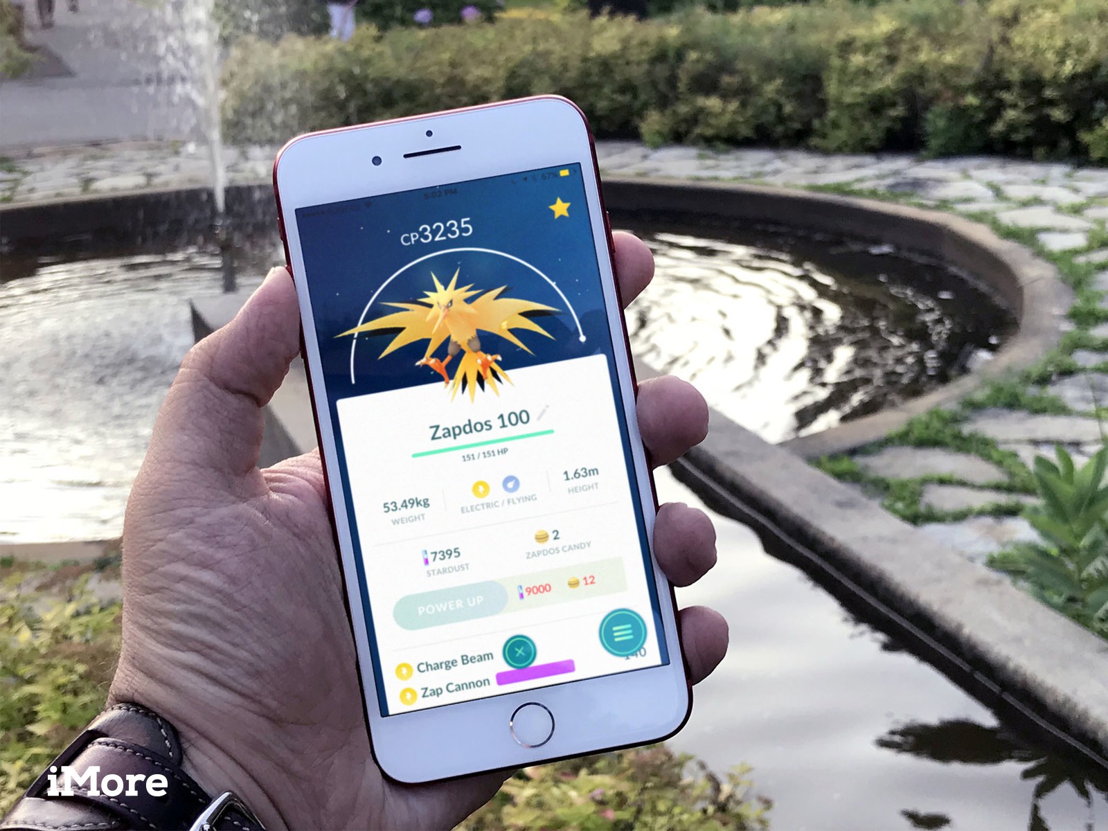Pokémon Go Zapdos Raid Guide For September - 100 Zapdos , HD Wallpaper & Backgrounds