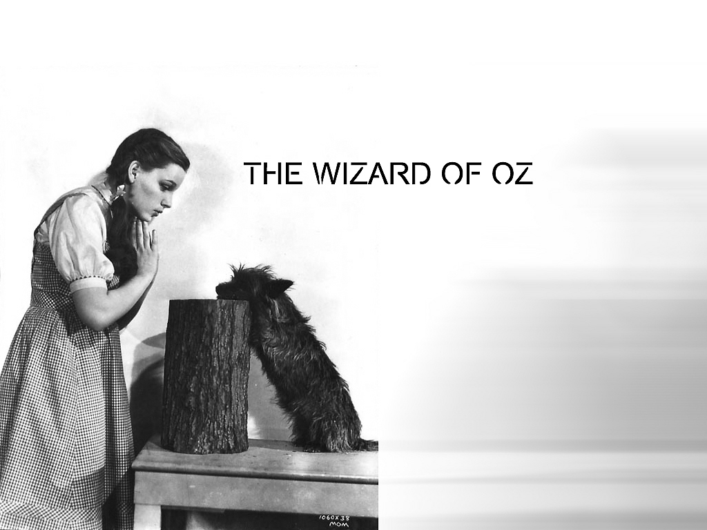 Dorothy And Toto <3 - Toto Wizard Of Oz Africa , HD Wallpaper & Backgrounds