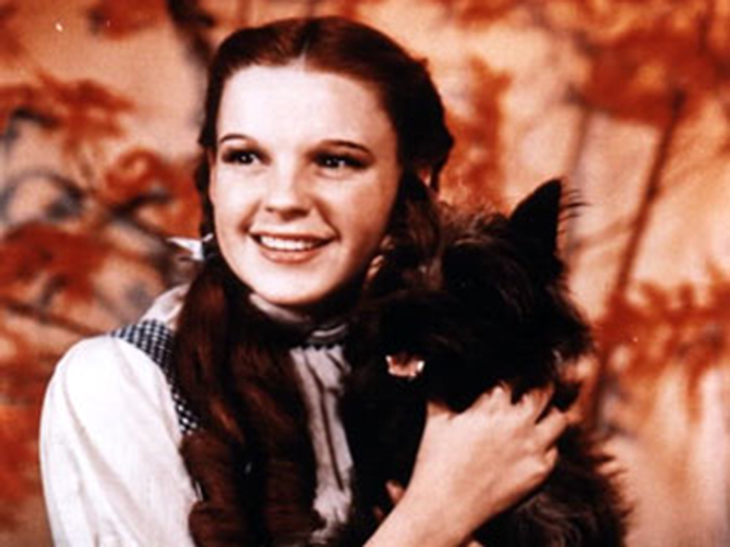 Dorothy And Toto <3 - Wizard Of Oz Dorothy , HD Wallpaper & Backgrounds