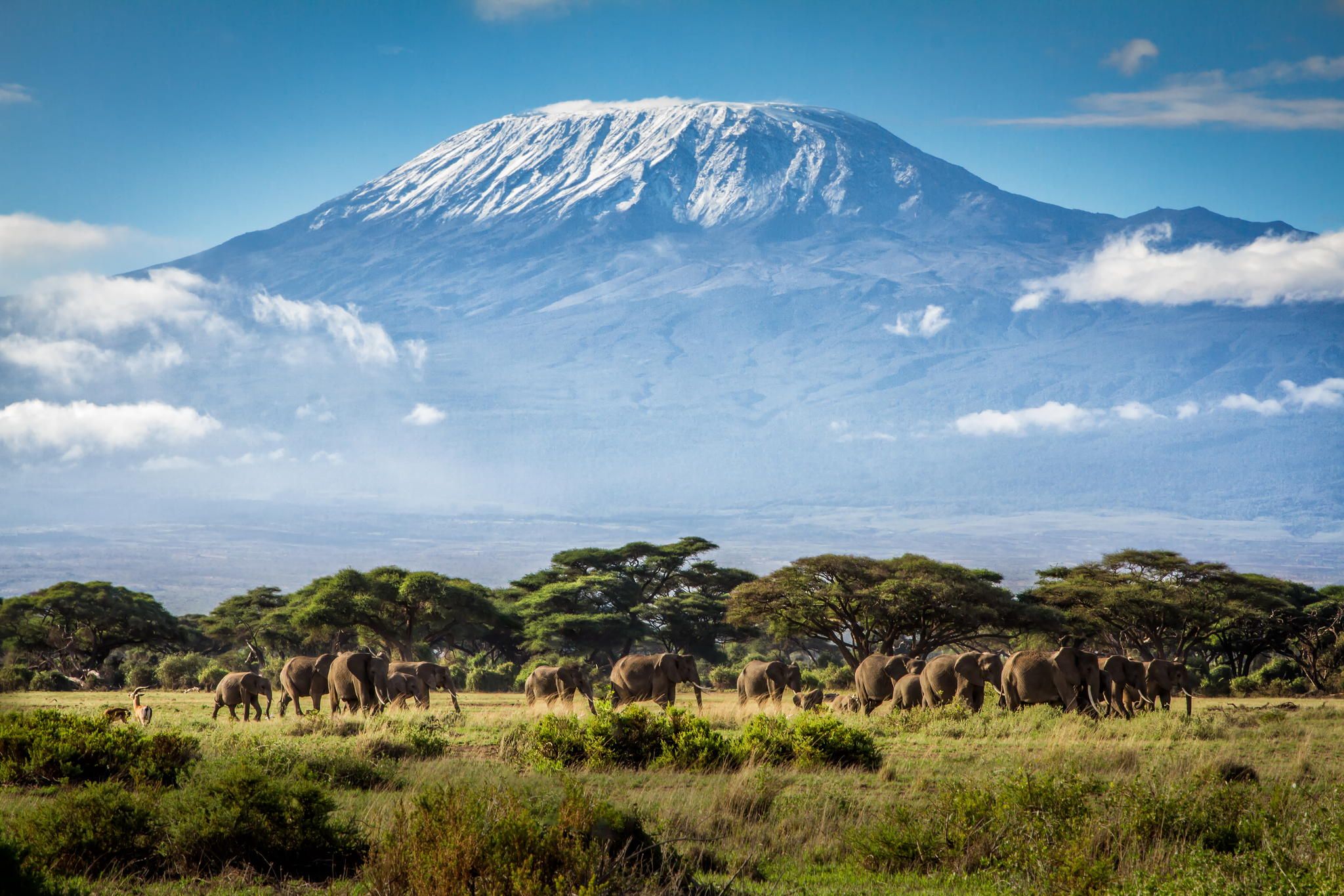 14 Mount Kilimanjaro Hd Wallpapers - Mount Kilimanjaro , HD Wallpaper & Backgrounds