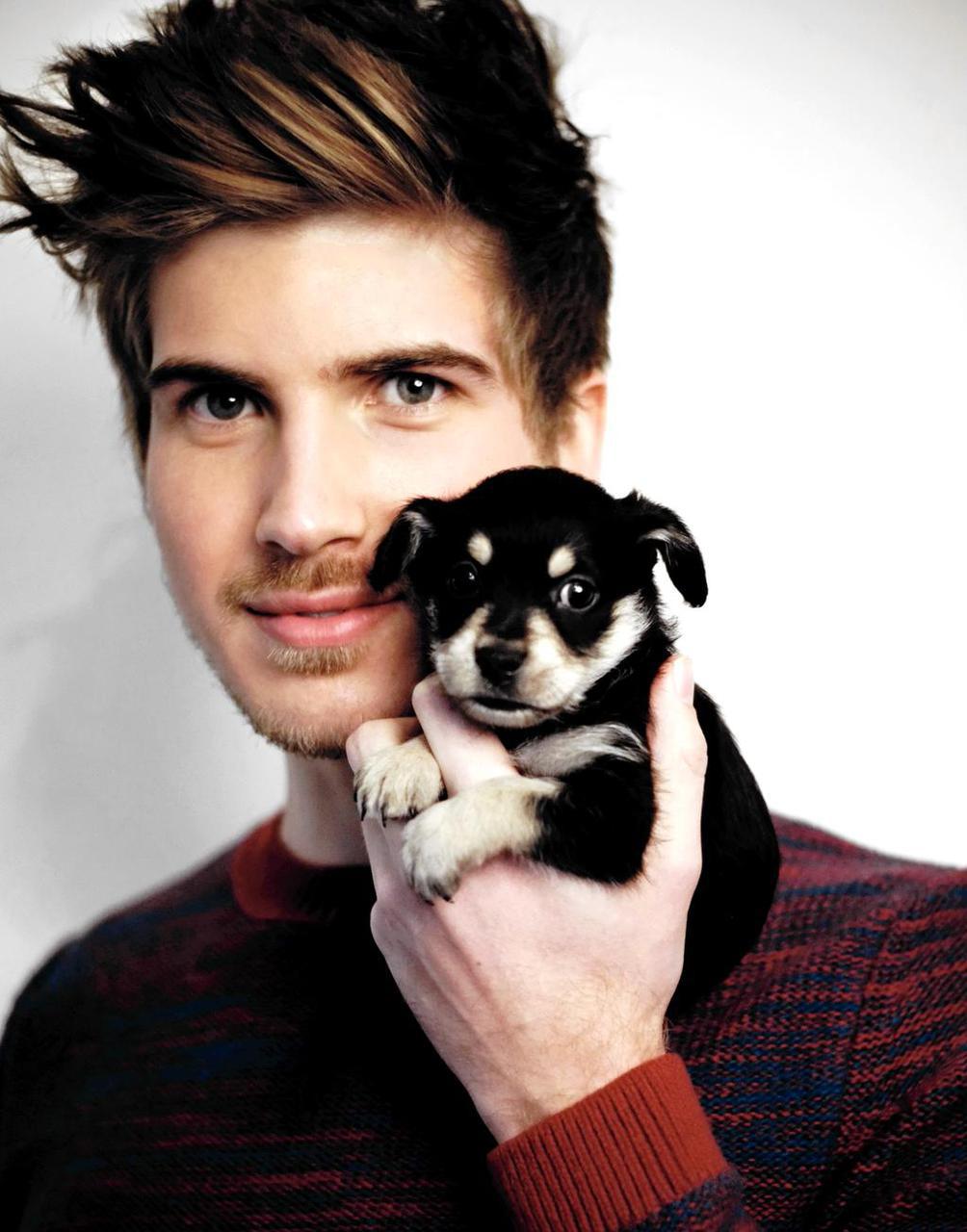 48 Images About Joey Graceffa💙 On We Heart It - Chihuahua , HD Wallpaper & Backgrounds