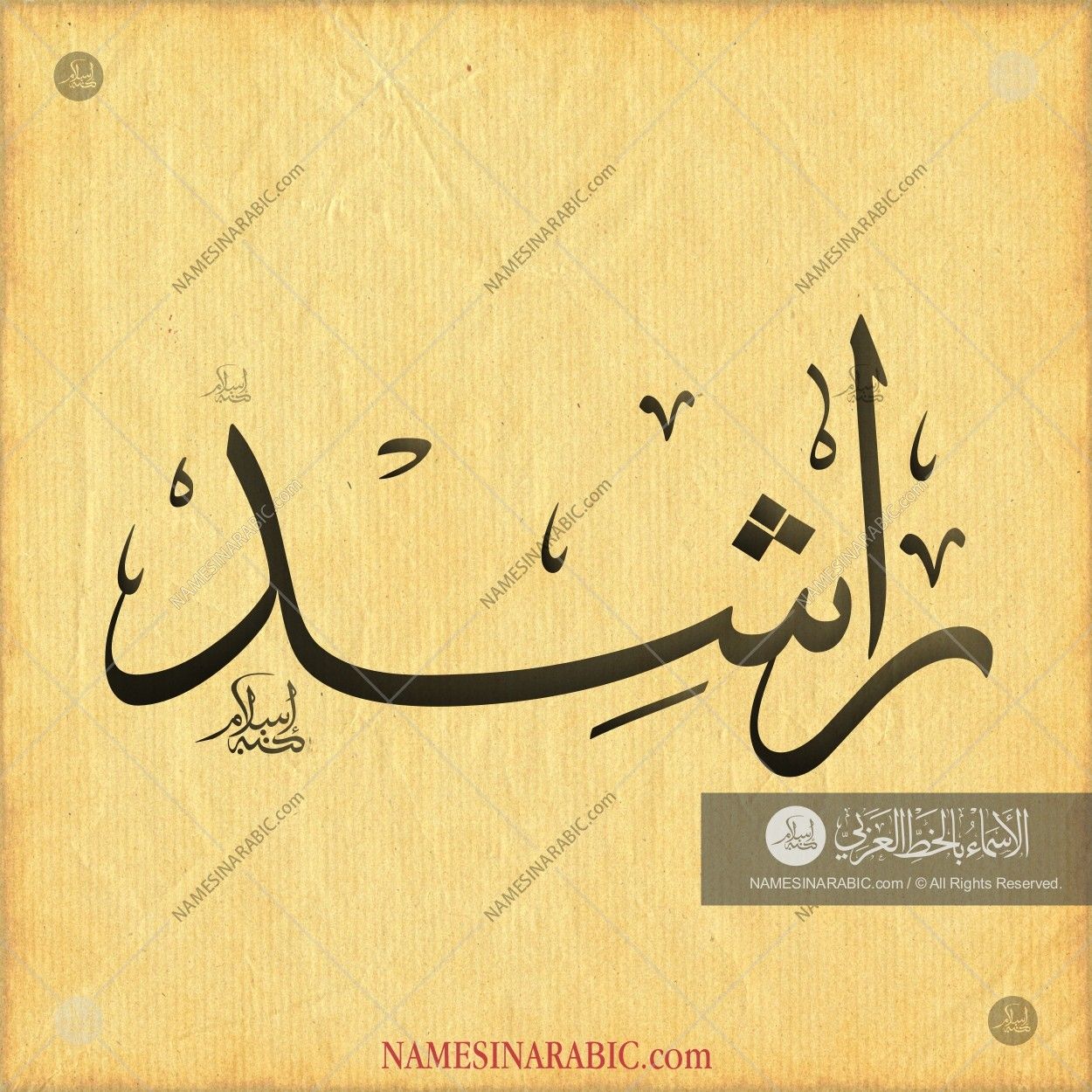 راشد / Names In Arabic Calligraphy - Rashid Name In Arabic , HD Wallpaper & Backgrounds