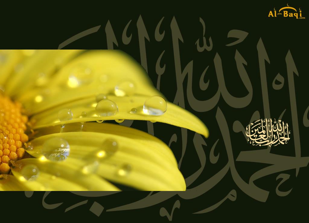 Alhamdulillah With Yellow Rose - Islamic Themes For Windows 10 , HD Wallpaper & Backgrounds