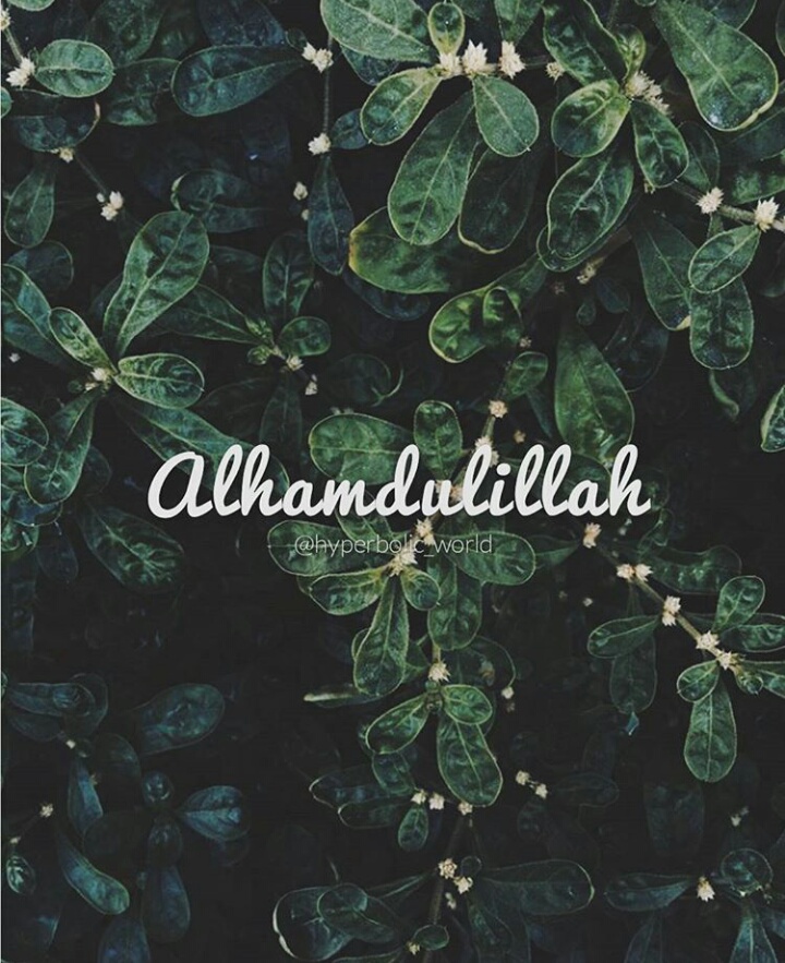 614 Images About Islamic🌹 On We Heart It - Motif , HD Wallpaper & Backgrounds