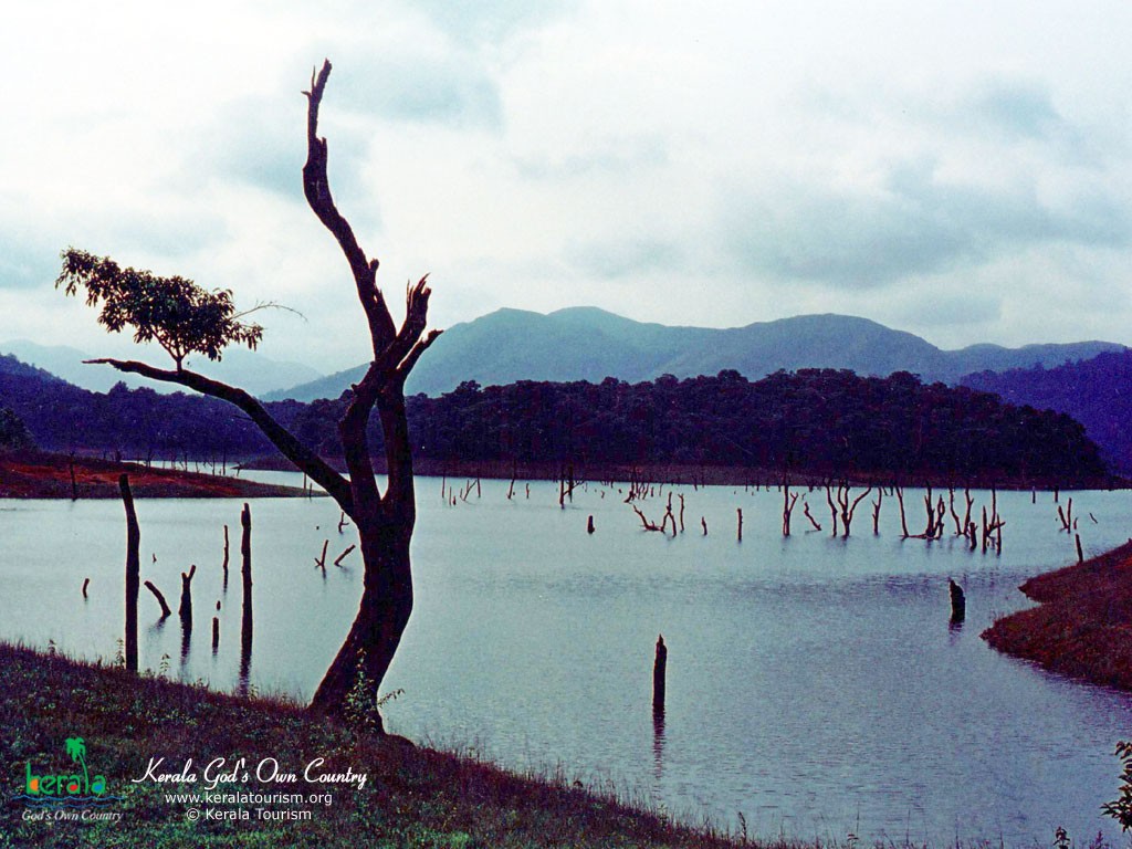 Lakes Kerala Cloud Lake Sky Tree Nature Scene Cute - Loch , HD Wallpaper & Backgrounds
