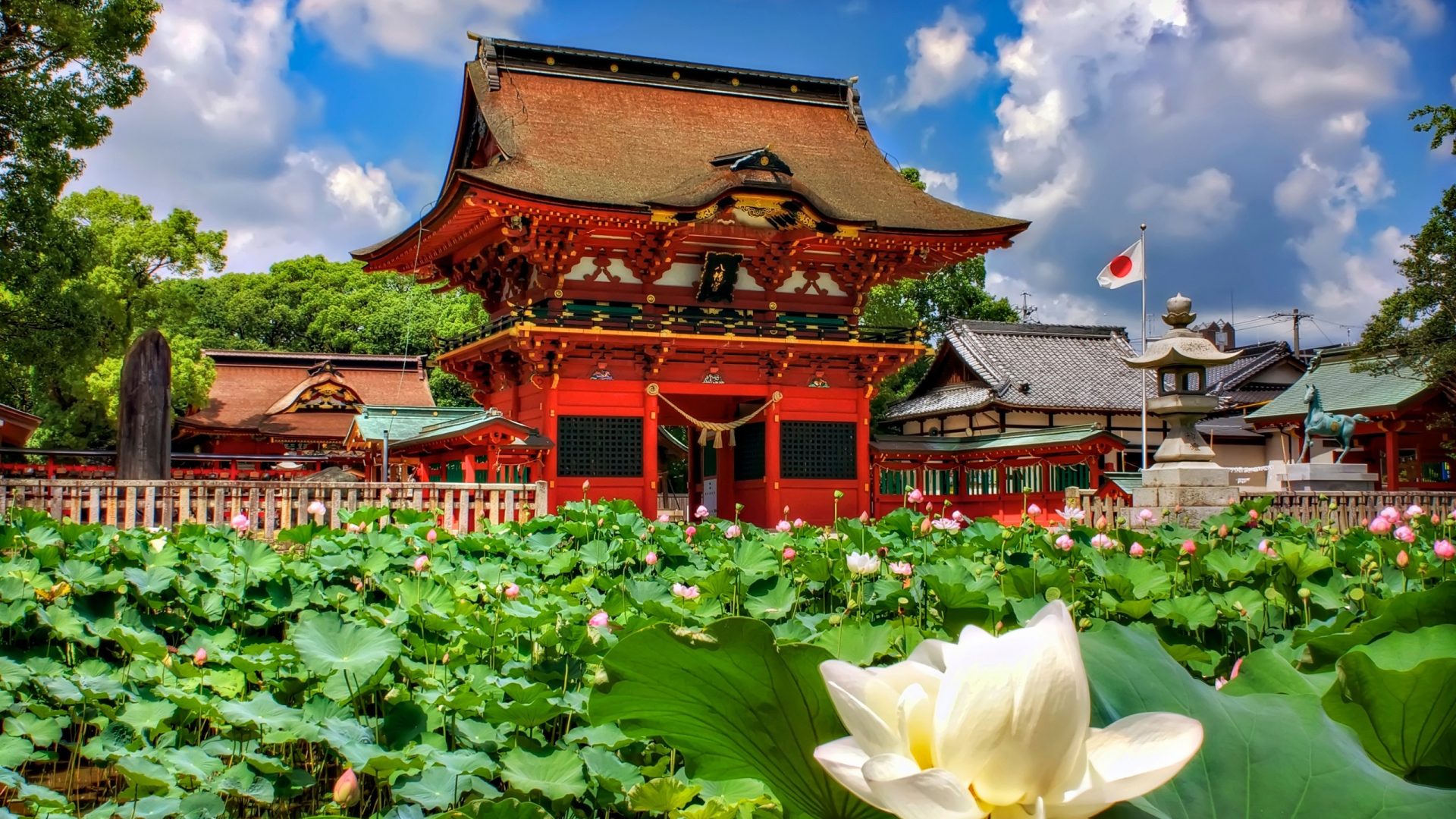 Japanese Paradise Flowers Sky Nature Architecture Lotus - Wallpaper , HD Wallpaper & Backgrounds
