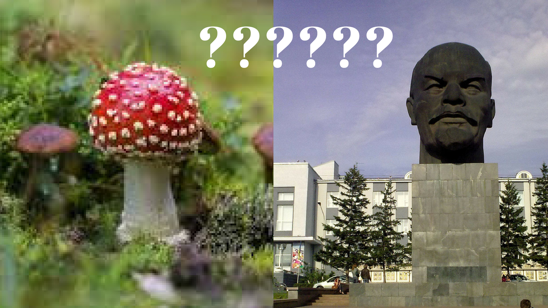 Lenin Mushroom - Ulan-ude , HD Wallpaper & Backgrounds