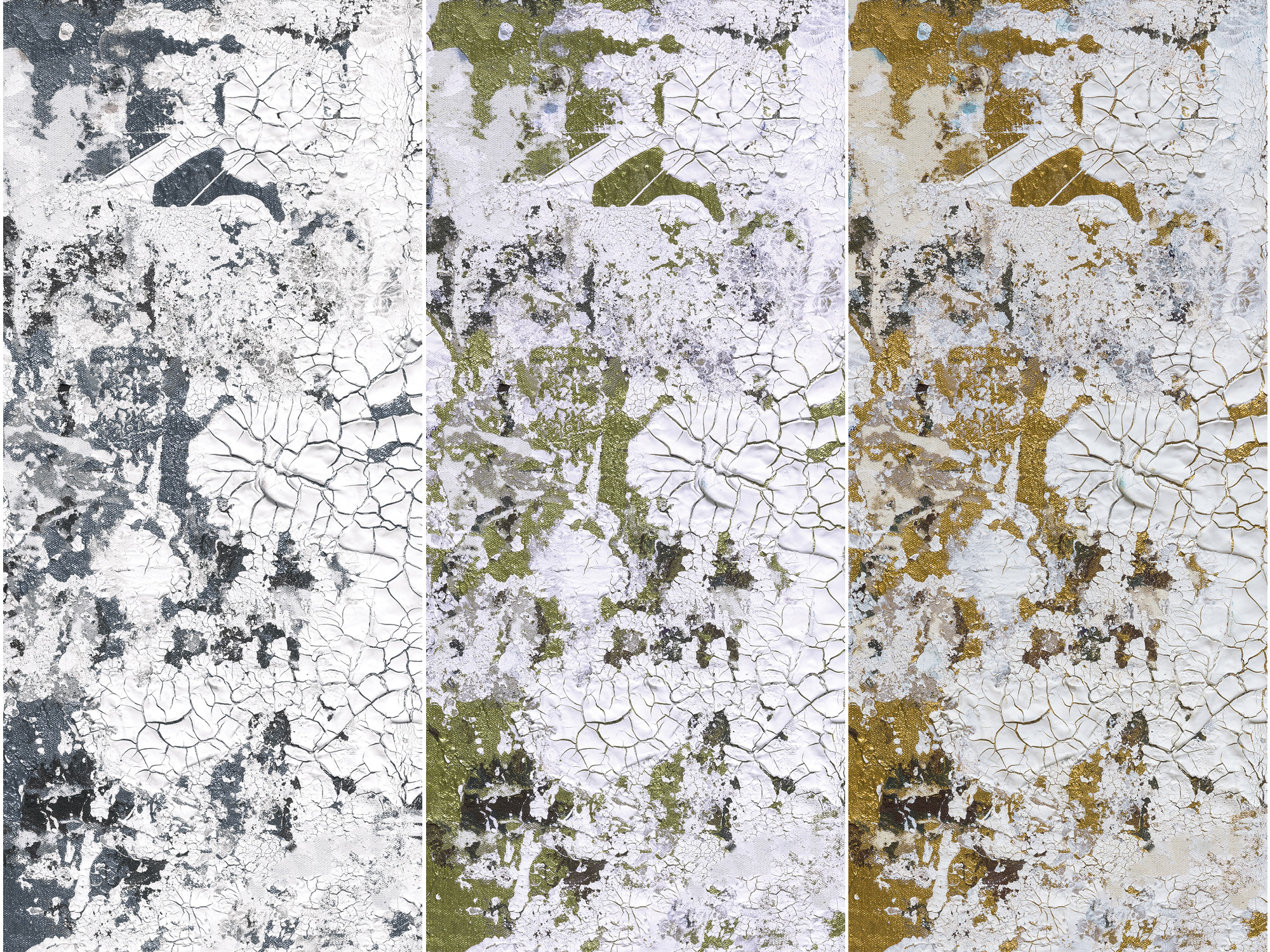 An Eye-catching Take On Wallpaper Design That Comes - Feathr Et Kiki Slaughter Safari Gold , HD Wallpaper & Backgrounds