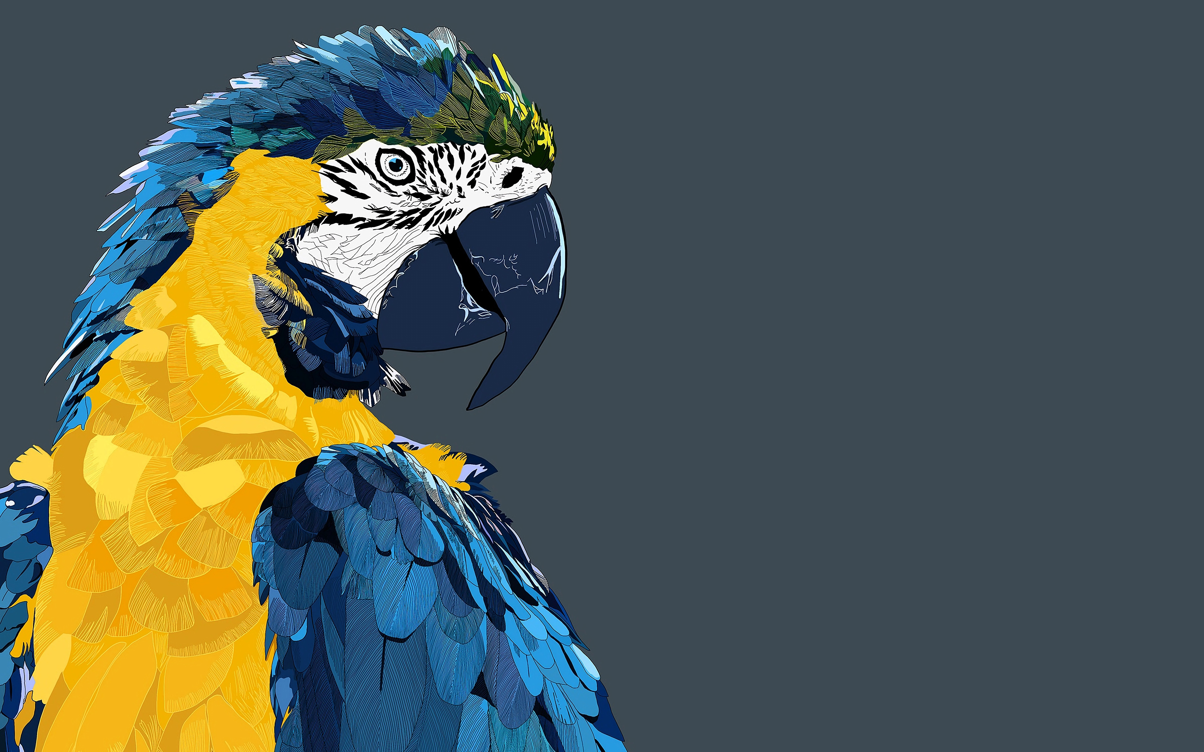 Low Poly Art, Macaw, Parrot, 4k, Birds, 3d Art - Art Wallpaper Birds , HD Wallpaper & Backgrounds