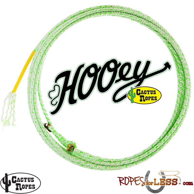 Hooey-5 - Guitar String , HD Wallpaper & Backgrounds