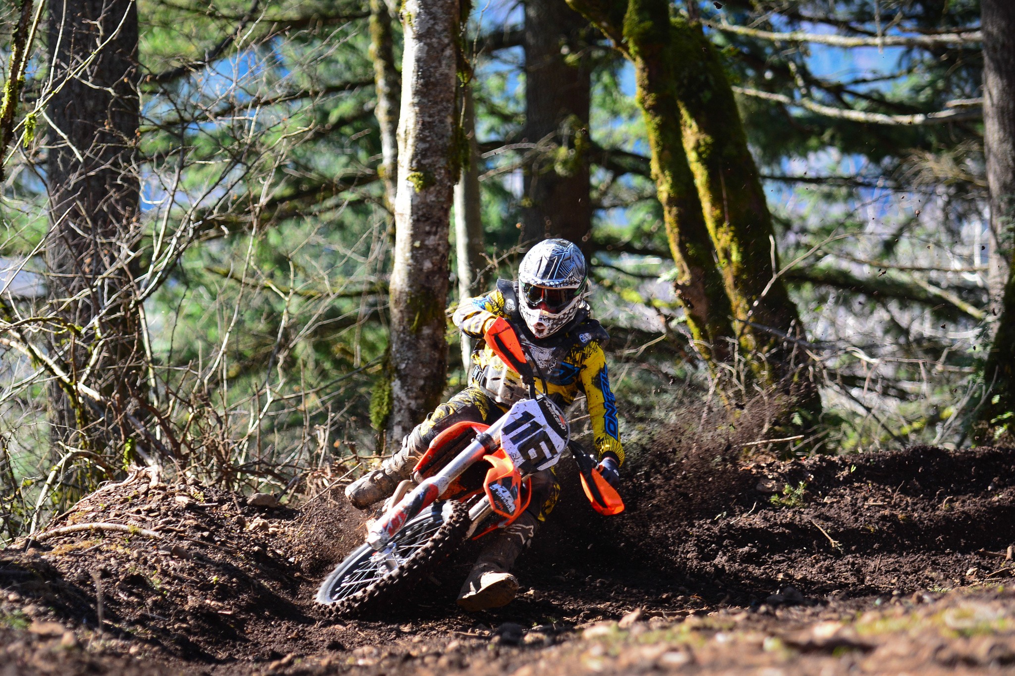 Motorcycle, Motocross, Forest, Ktm 4k Hd Wallpaper - Motocross In The Forest , HD Wallpaper & Backgrounds