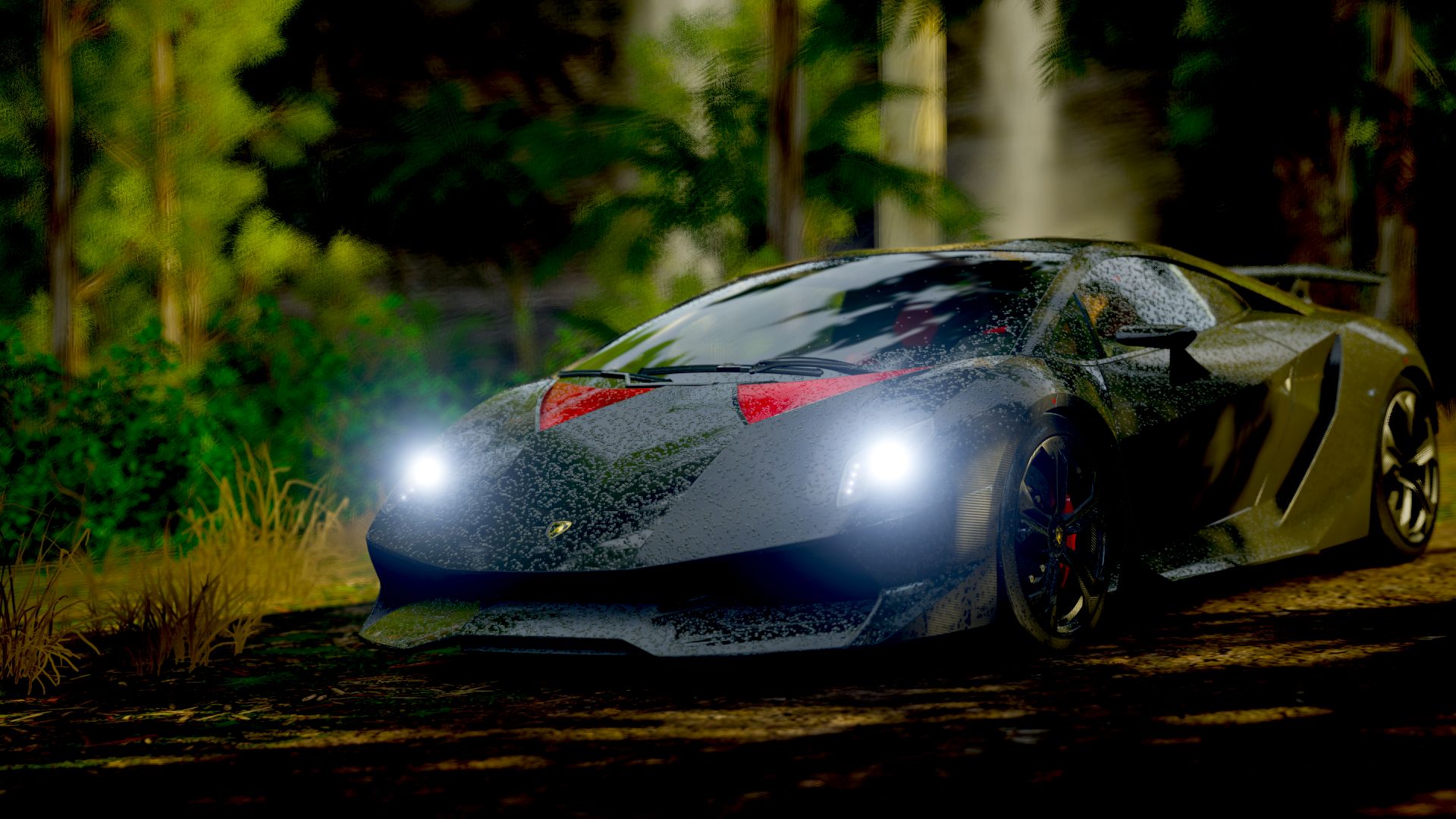 You - Lamborghini Gallardo , HD Wallpaper & Backgrounds