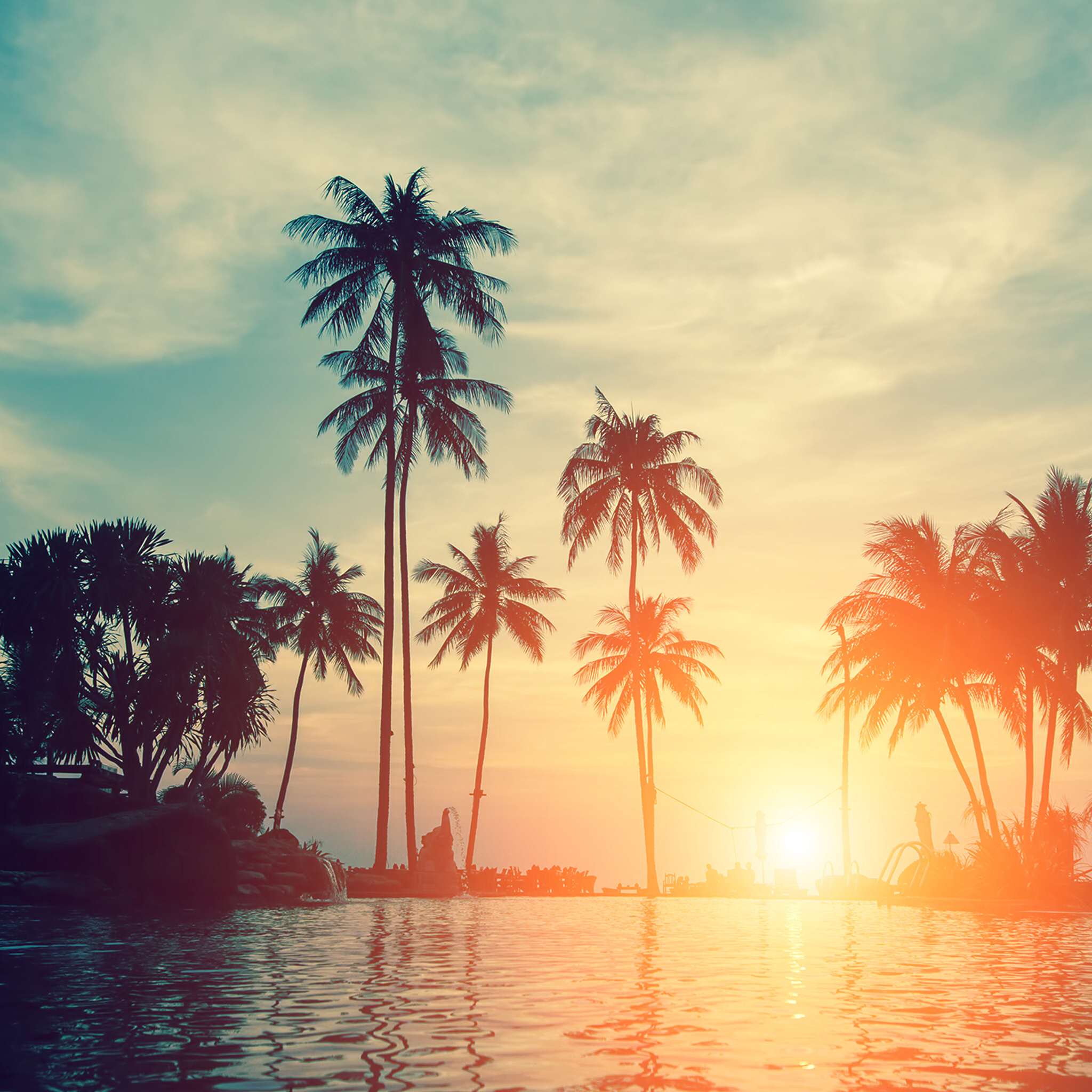 From A Really Good Wallpaper App - Pretty Pictures Palm Trees , HD Wallpaper & Backgrounds
