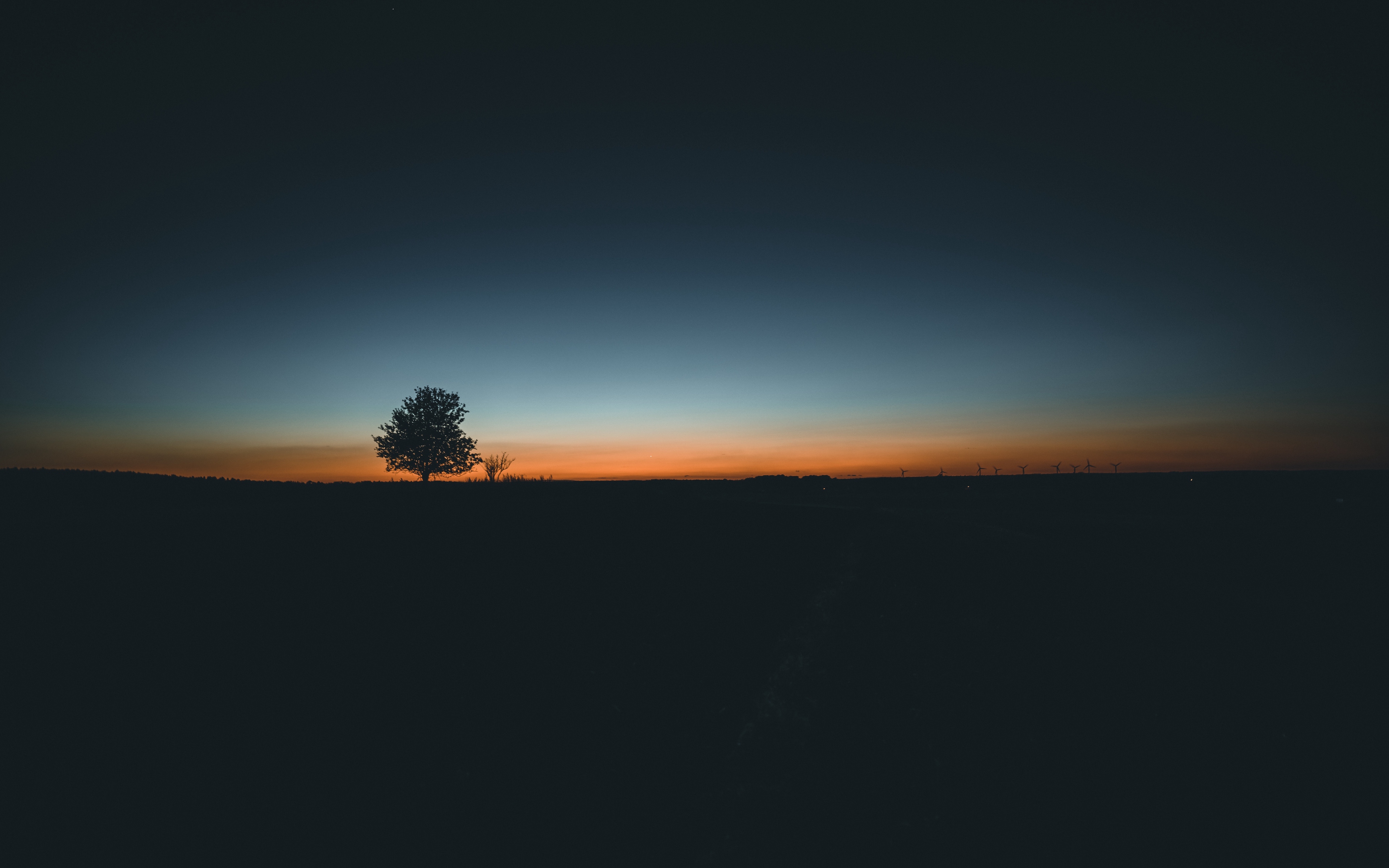 Wallpaper Tree Horizon Minimalism Sunset Minimalist Wallpaper Wallpaper Tree Horizon Minimalism Sunset Minimalist Wallpaper