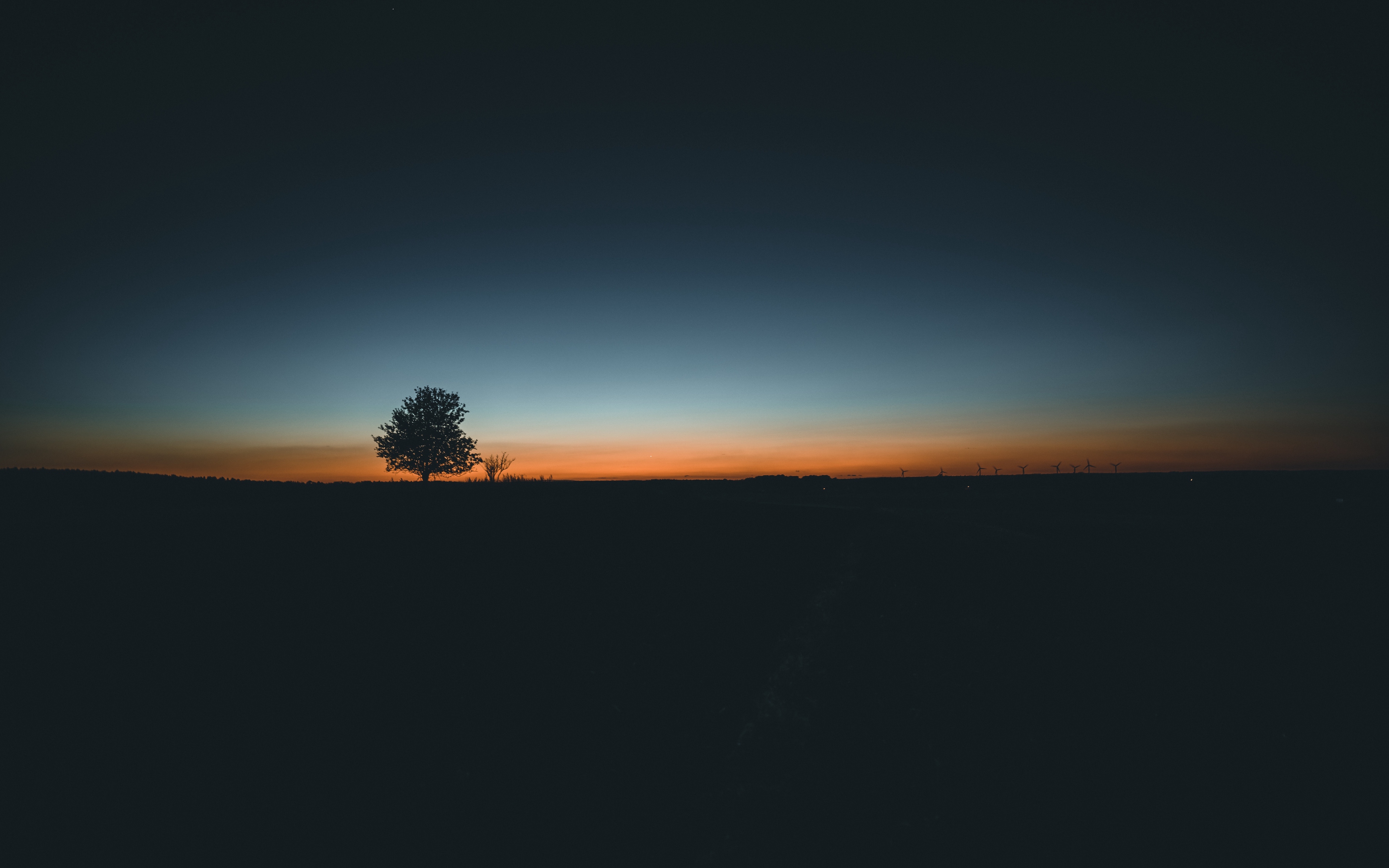 Wallpaper Tree, Horizon, Minimalism, Sunset - Minimalist Wallpaper Phone 4k , HD Wallpaper & Backgrounds