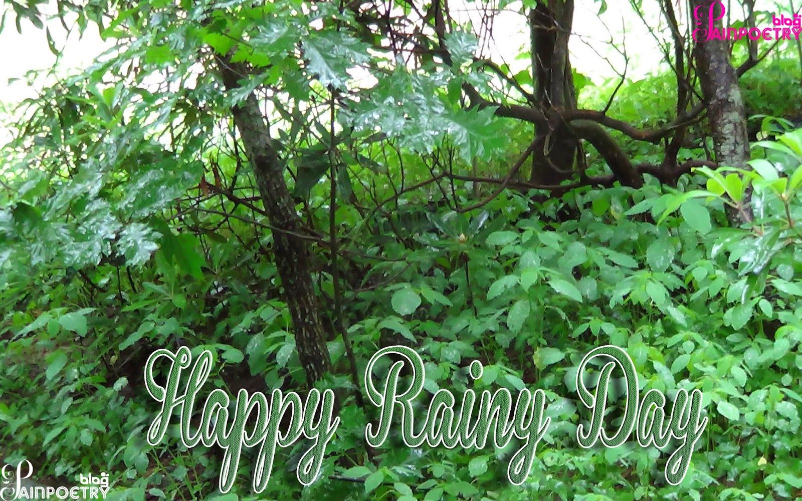 Happy Rainy Day Happy Mosam Day Image Wallpaper Wide - Gambel Oak , HD Wallpaper & Backgrounds