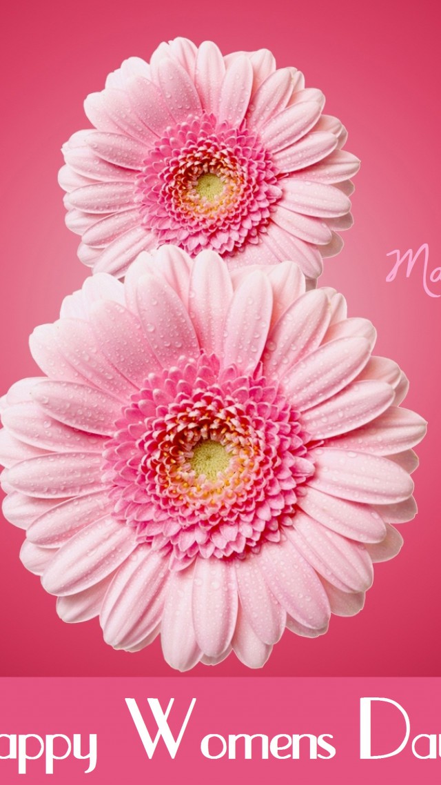 International Women's Day, March 8, Flowers, Pink, - Happy Women's Day 8th March , HD Wallpaper & Backgrounds