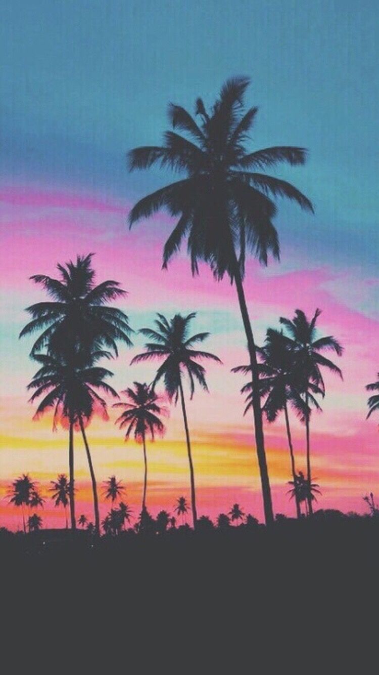 Palm Trees Iphone 6/6s Wallpaper - Iphone 6 Wallpaper Palm Trees , HD Wallpaper & Backgrounds