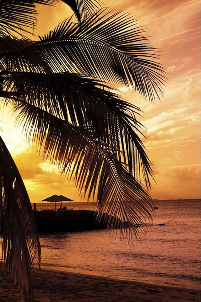 Beach Palm Trees Iphone Wallpaper - Grace Be Unto You And Peace From God Our Father And , HD Wallpaper & Backgrounds