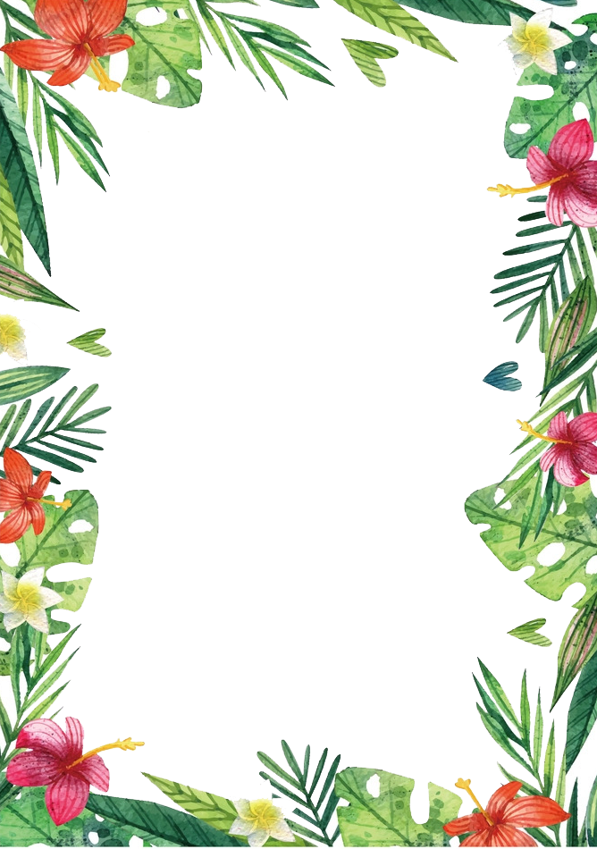 Hawaii Flowers And Plants - Ko Ko Bop Theme , HD Wallpaper & Backgrounds