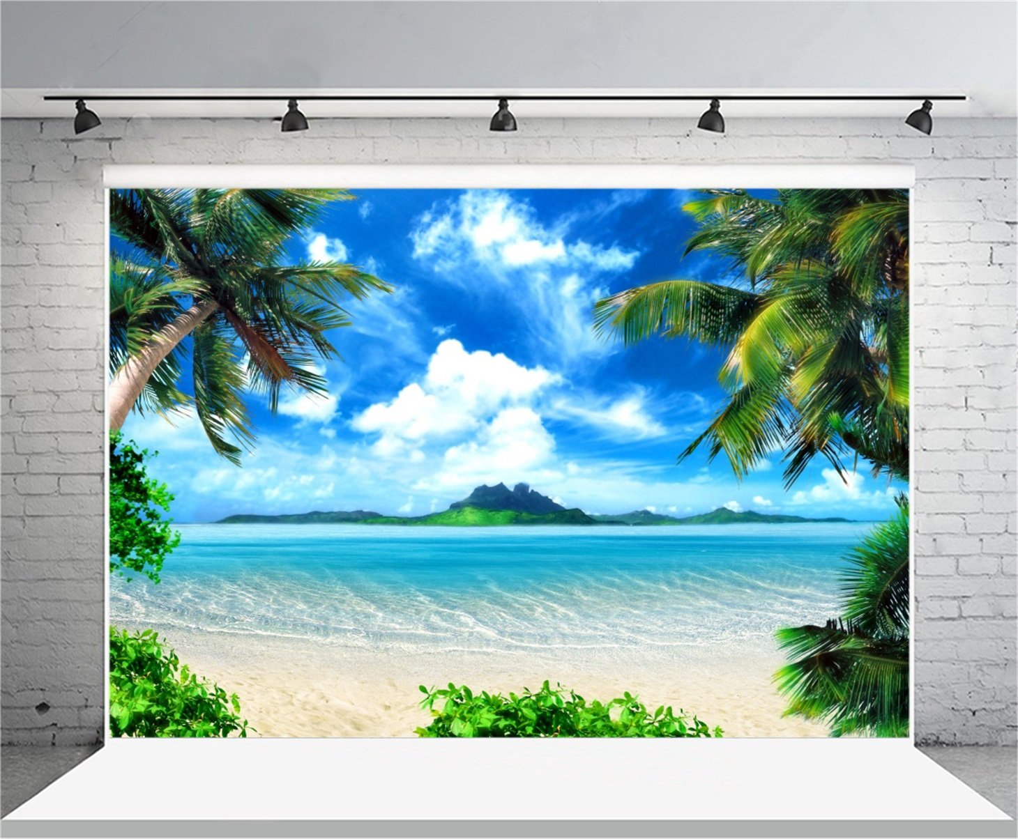 Hawaiian Luau Backdrop Seaside Palm Tree Clear Sea - Beach Palm Trees Background , HD Wallpaper & Backgrounds
