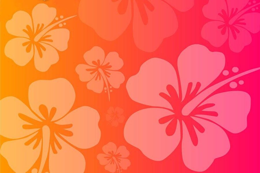 Luau Wallpaper - Pink And Orange Backgrounds , HD Wallpaper & Backgrounds