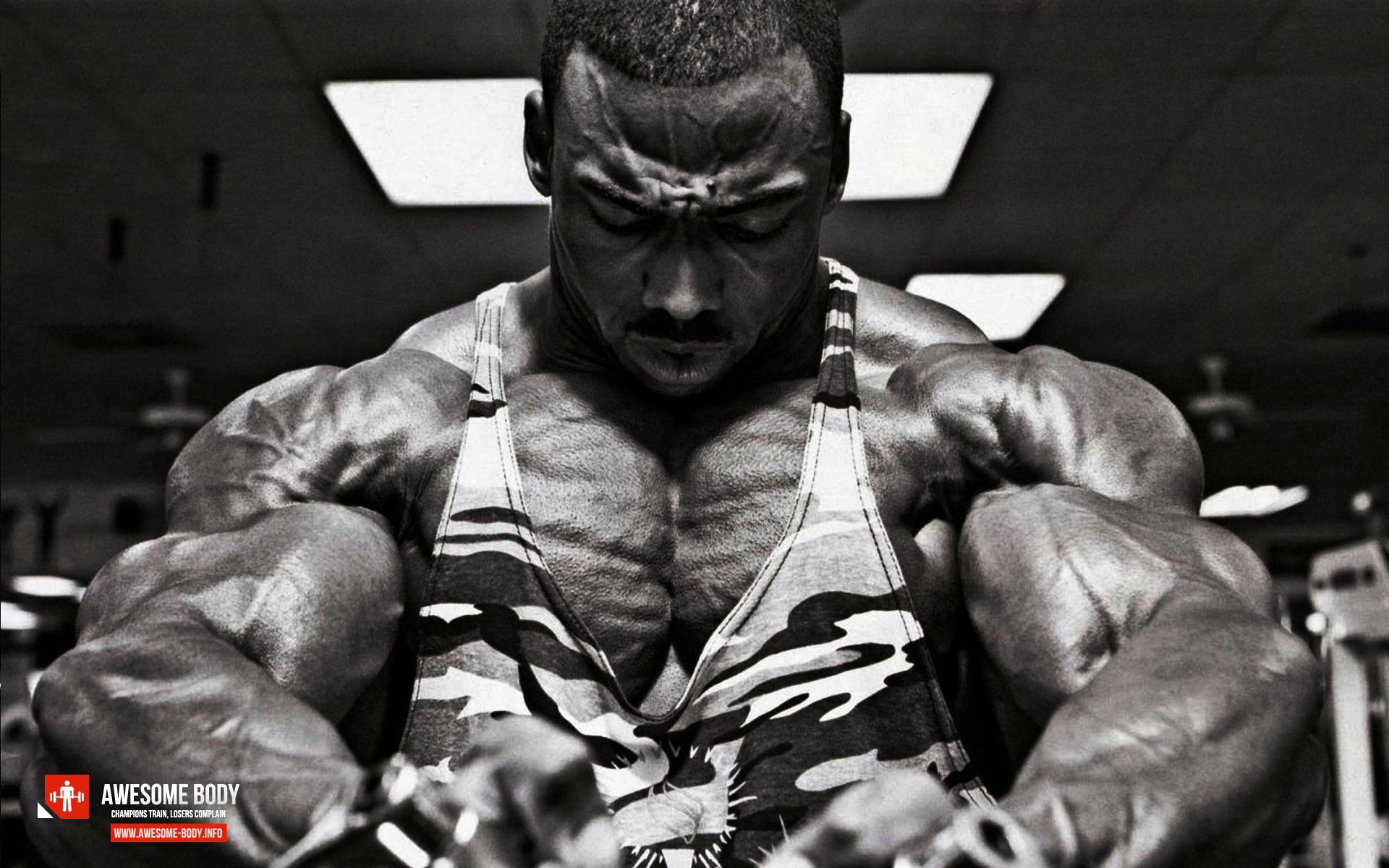 Hd Wallpapers Archives - Cedric Mcmillan , HD Wallpaper & Backgrounds