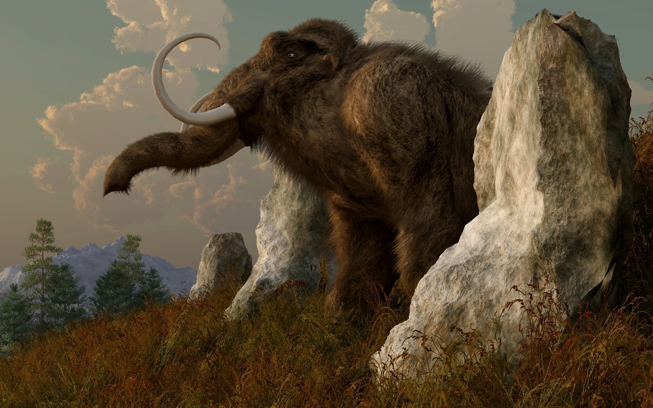 Amazing Mammoth Wallpaper - Wooly Mammoth (#1444304) - HD Wallpaper