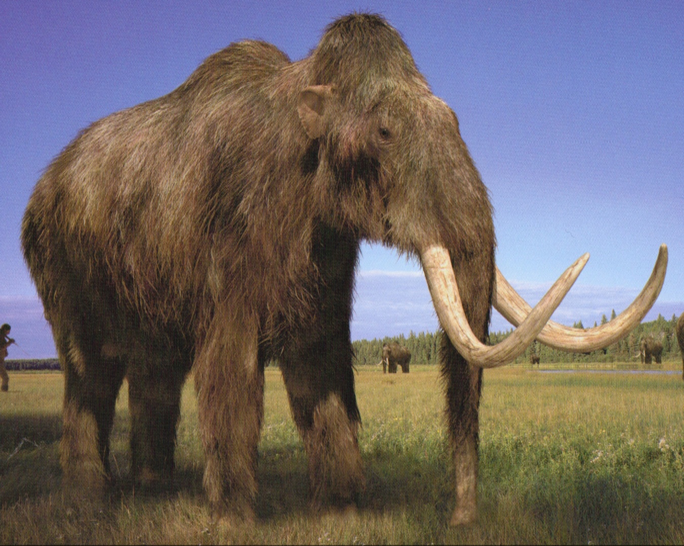 Woolly Mammoth Hd Wallpaper - Woolly Mammoth Prehistoric , HD Wallpaper & Backgrounds