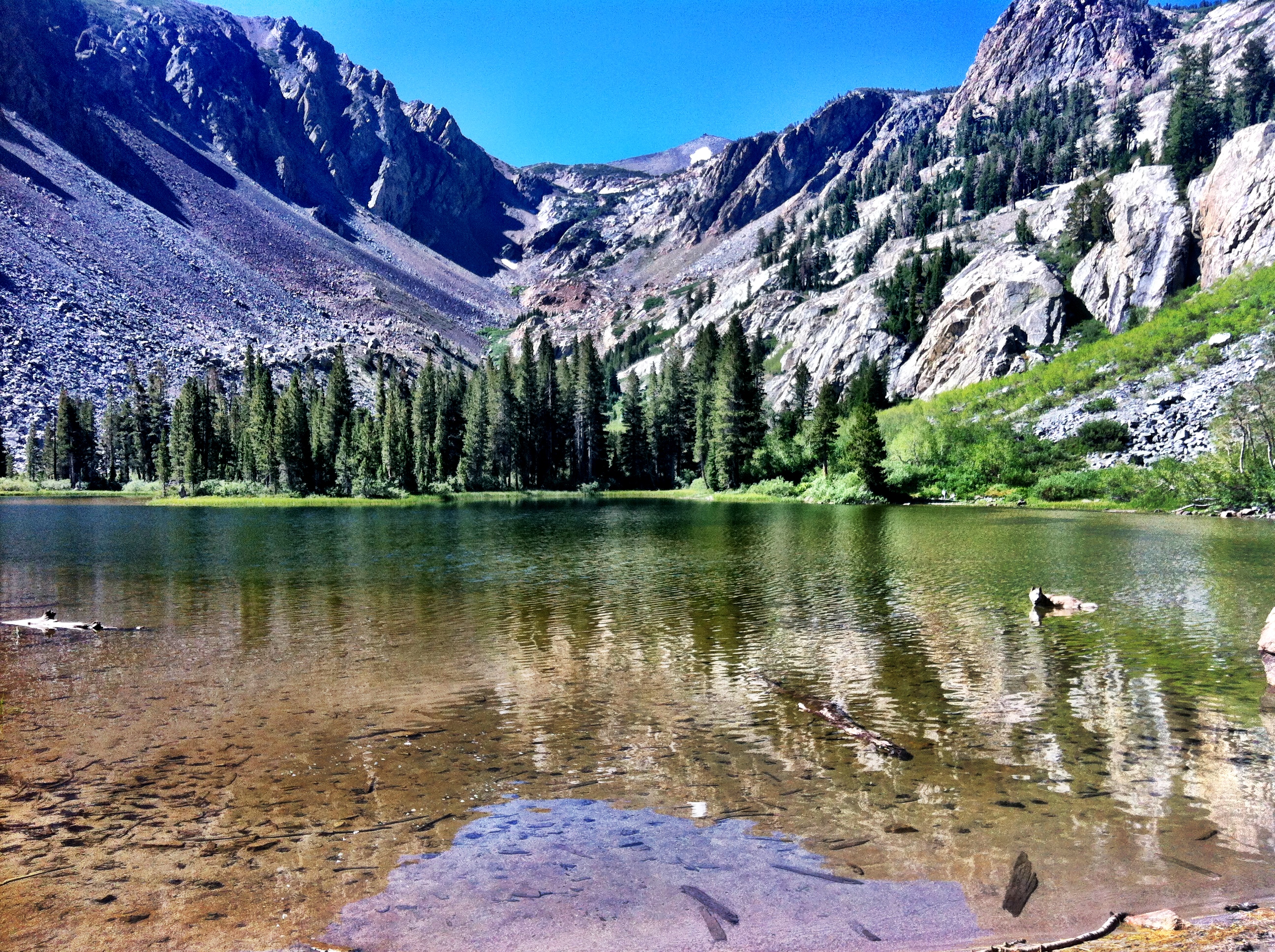 Mammoth Lakes , HD Wallpaper & Backgrounds. 
