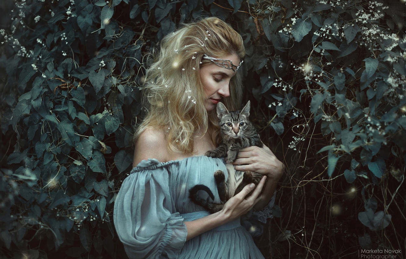 Photo Wallpaper Cat, Look, Girl, Dress, Photographer - Girl , HD Wallpaper & Backgrounds