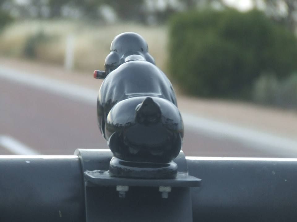 Death Proof Duck Hood Ornament Www - Convoy , HD Wallpaper & Backgrounds