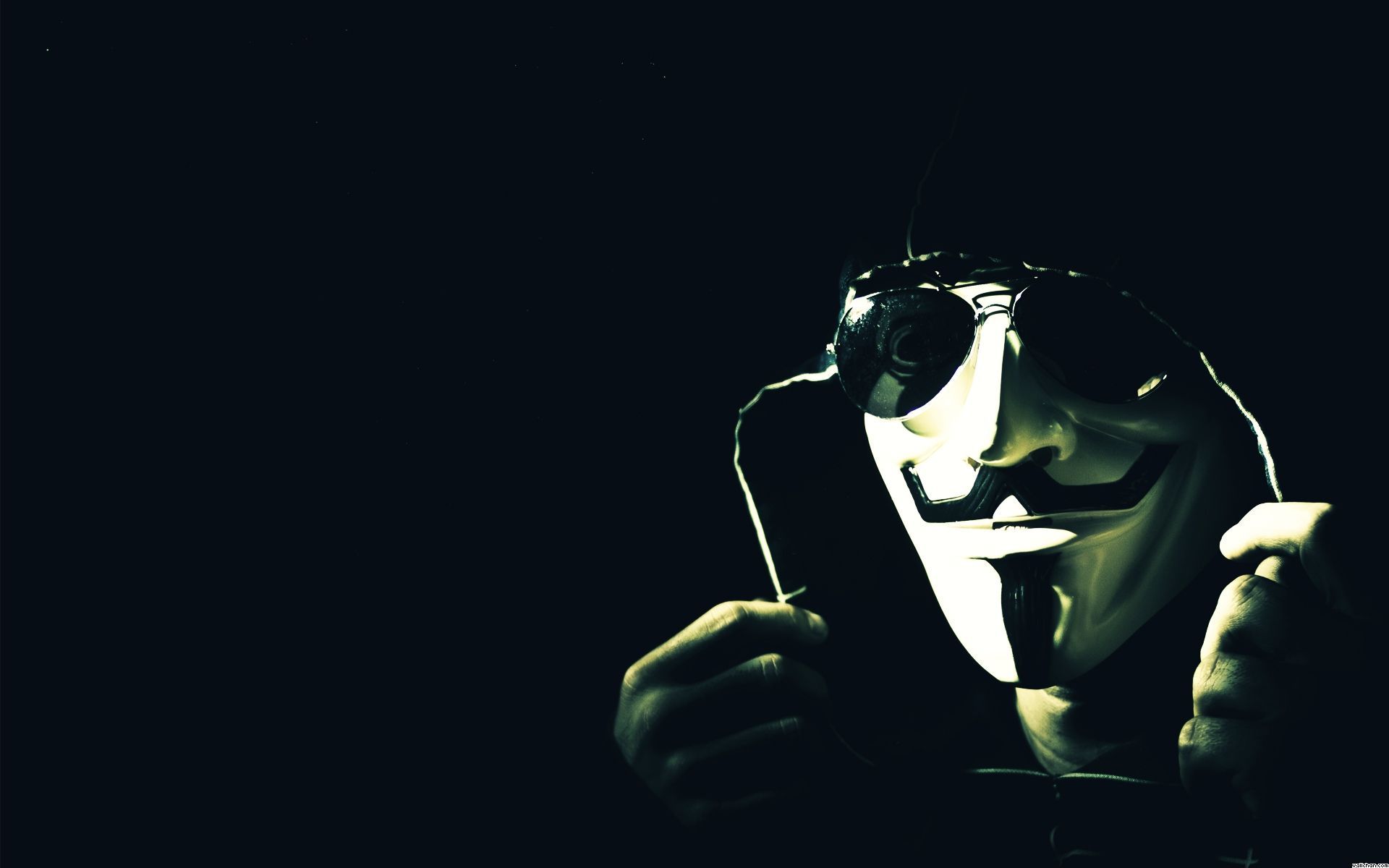 Wallpaper Kumis 1451486 Hd Wallpaper Backgrounds Download Wallpaper Kumis 1451486 Hd Wallpaper Backgrounds Download