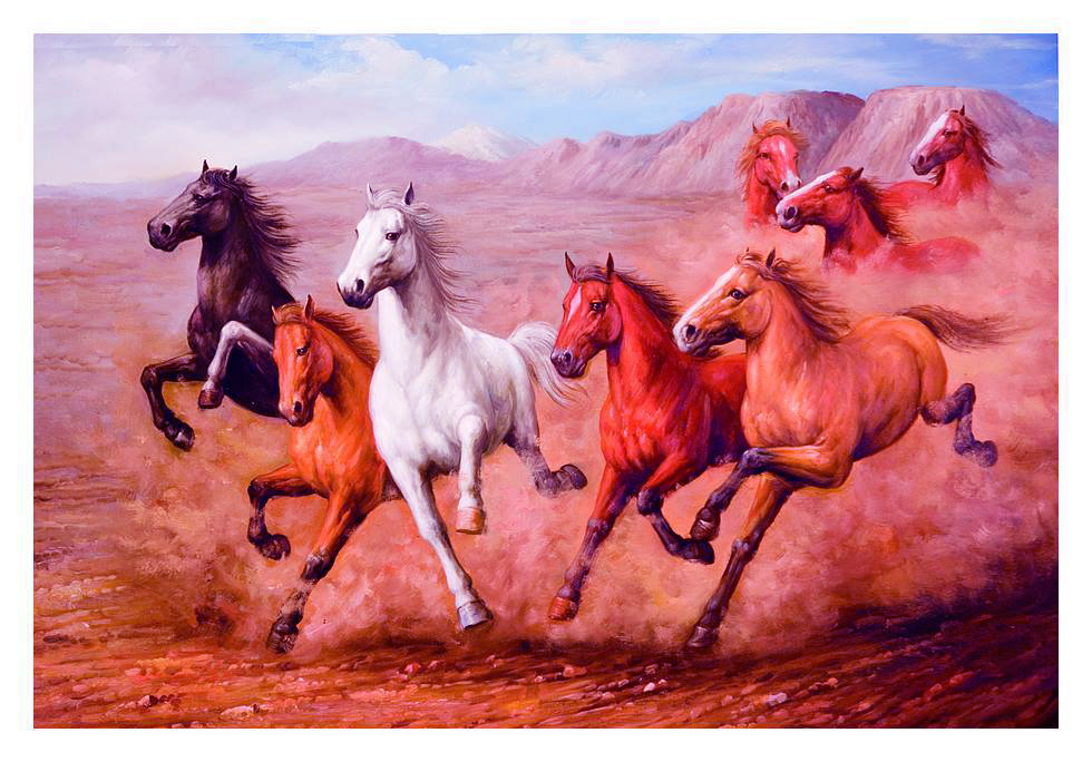 Hd Best Wallpaper 7horse Full Hd Wallpaper Whit Horse - Stallion , HD Wallpaper & Backgrounds