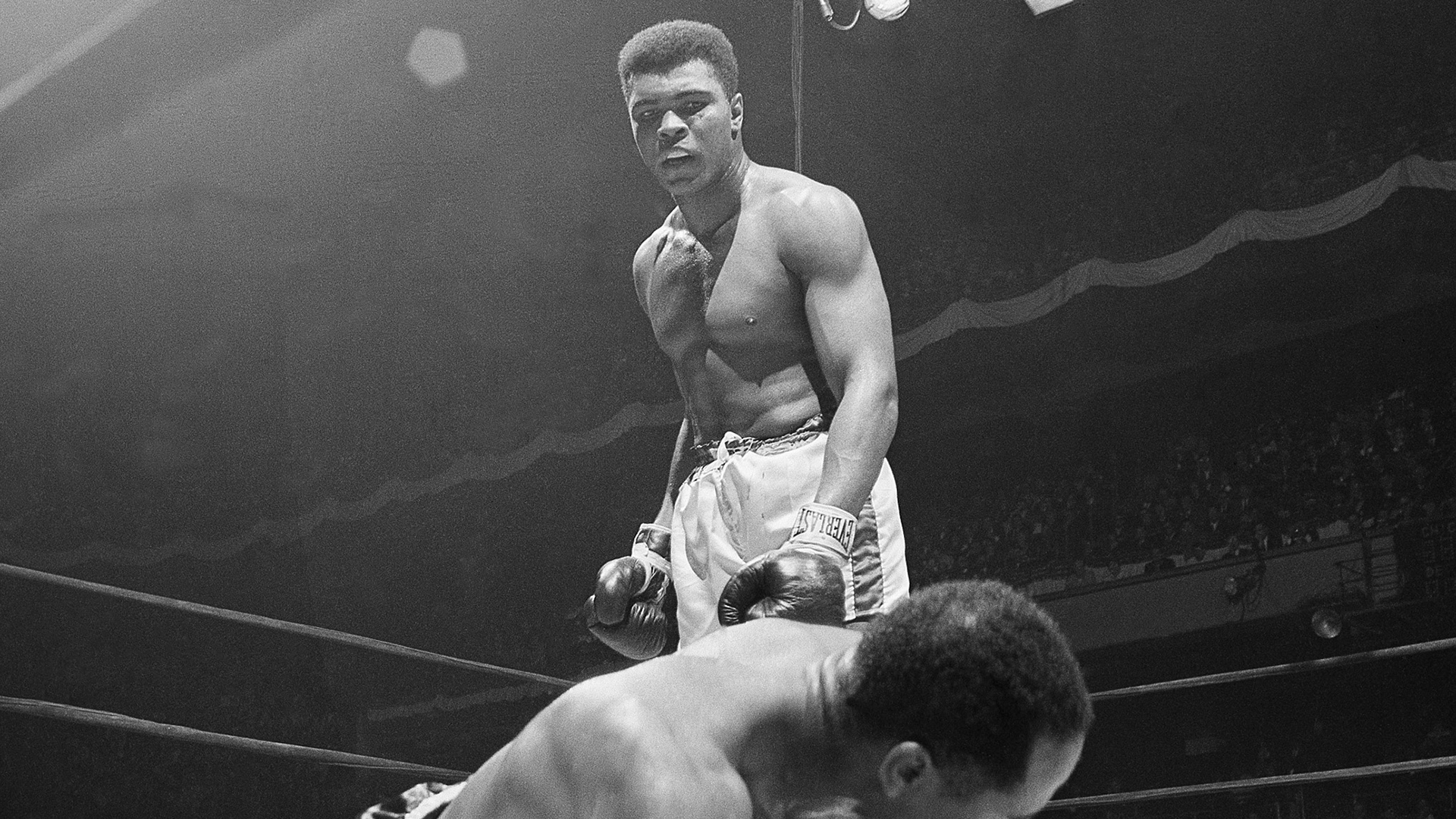 Muhammad Ali Wallpaper - Muhammad Ali Fights Moving , HD Wallpaper & Backgrounds