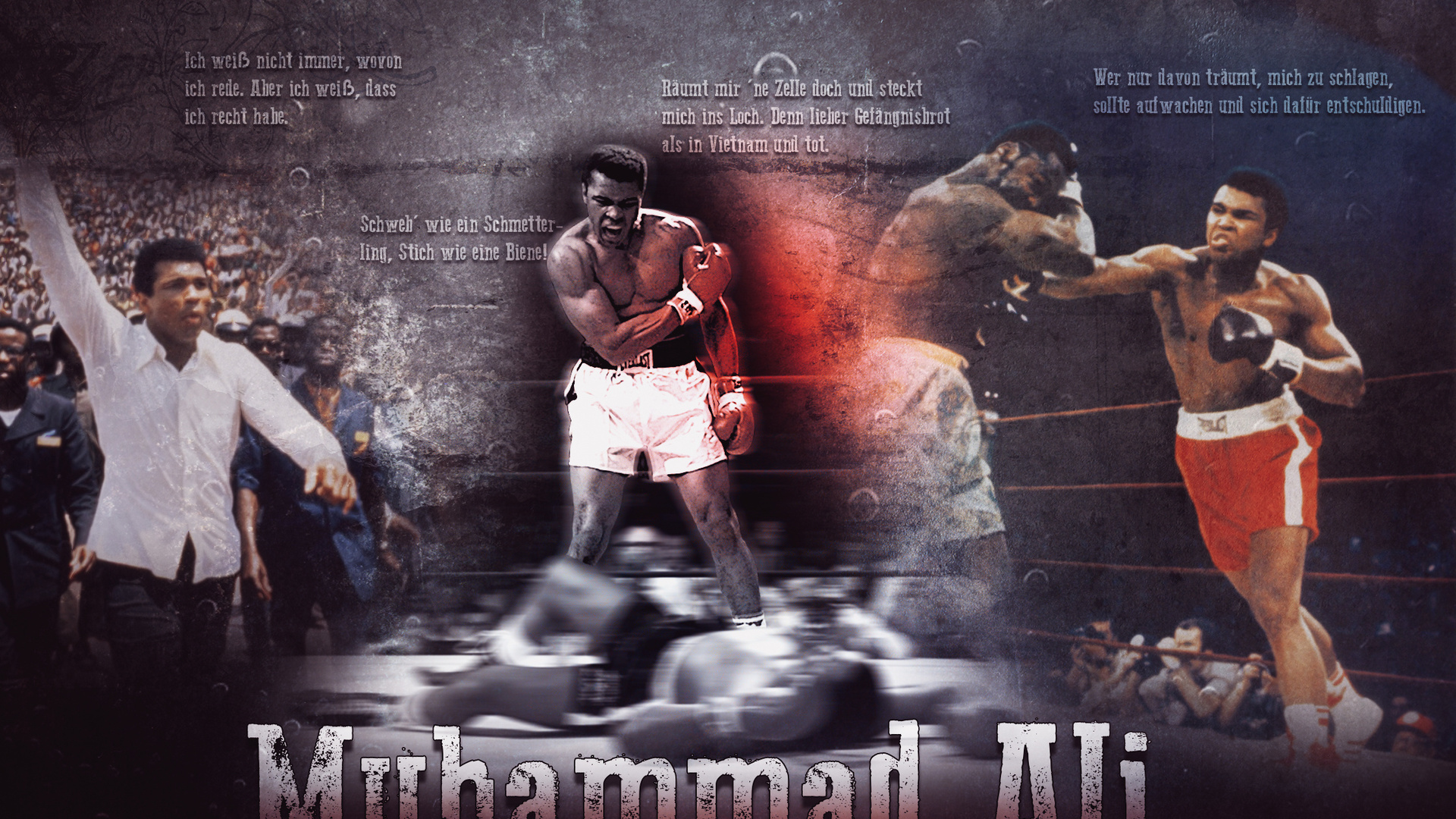 Boxer, Boxing, Champions, Muhammad Ali, Muhammad Ali - Ko Punch , HD Wallpaper & Backgrounds