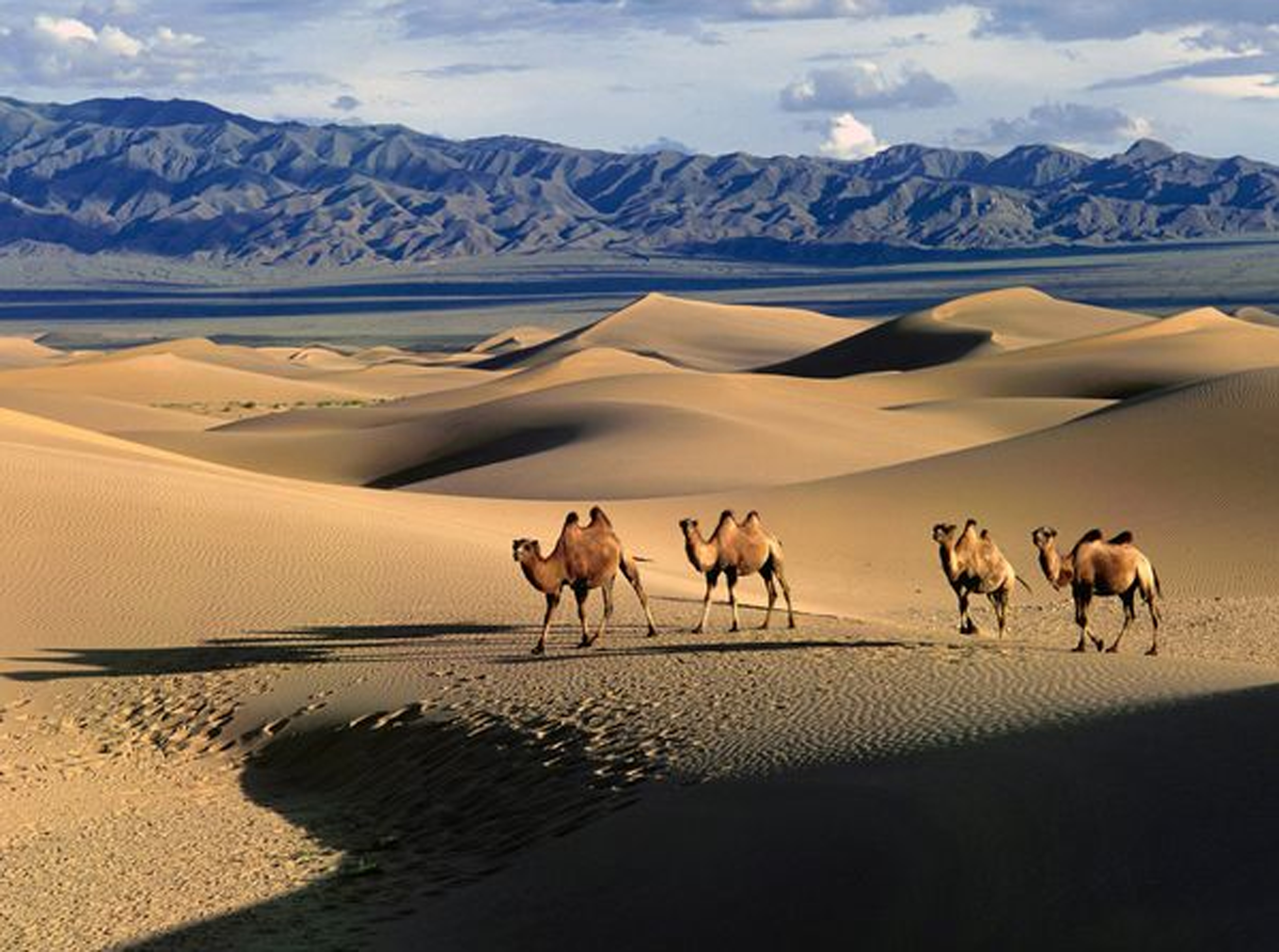 Deserto De Gobi Mongolia , HD Wallpaper & Backgrounds