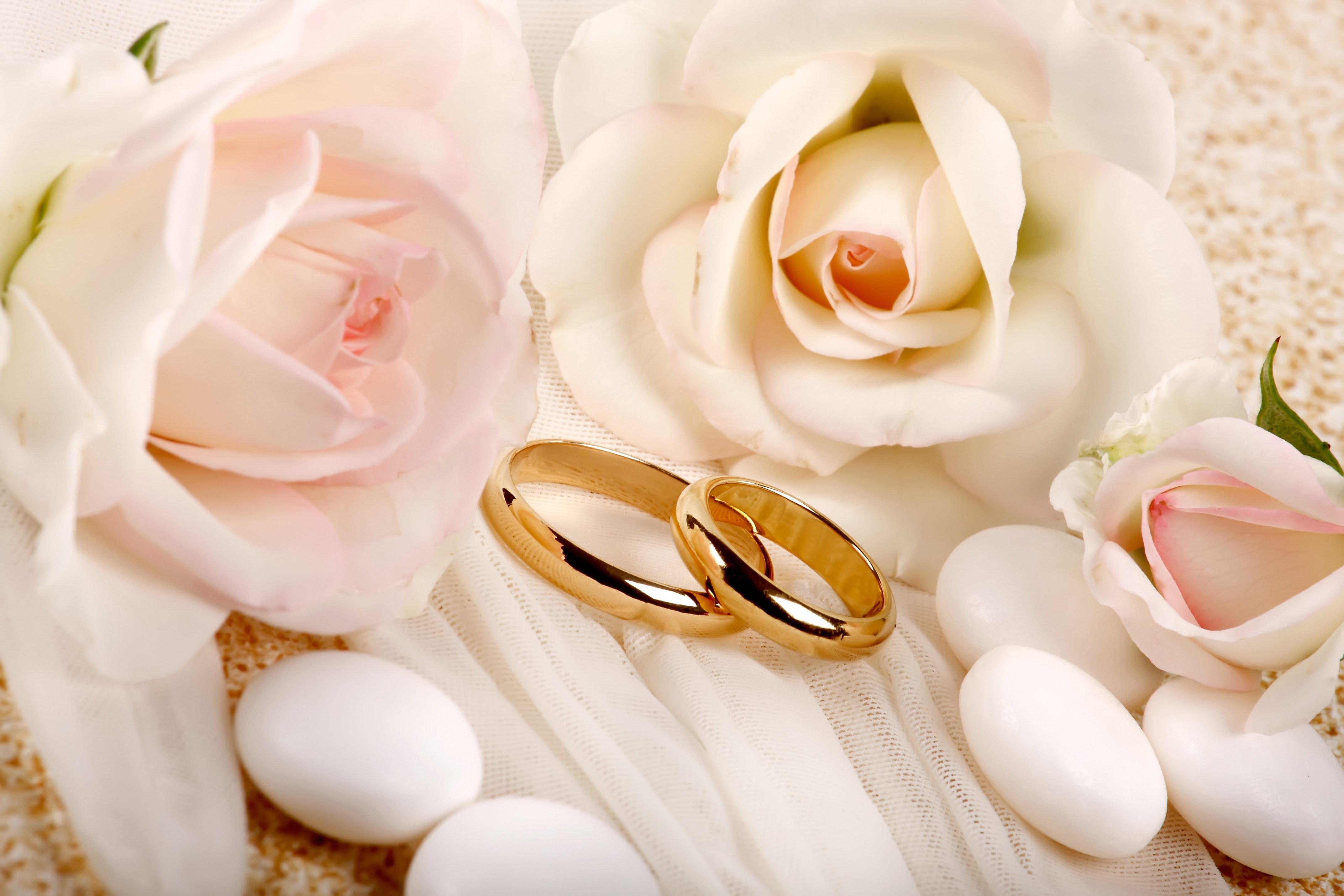 Anéis, Casamento, Rosas - Rosas Y Anillos De Boda , HD Wallpaper & Backgrounds