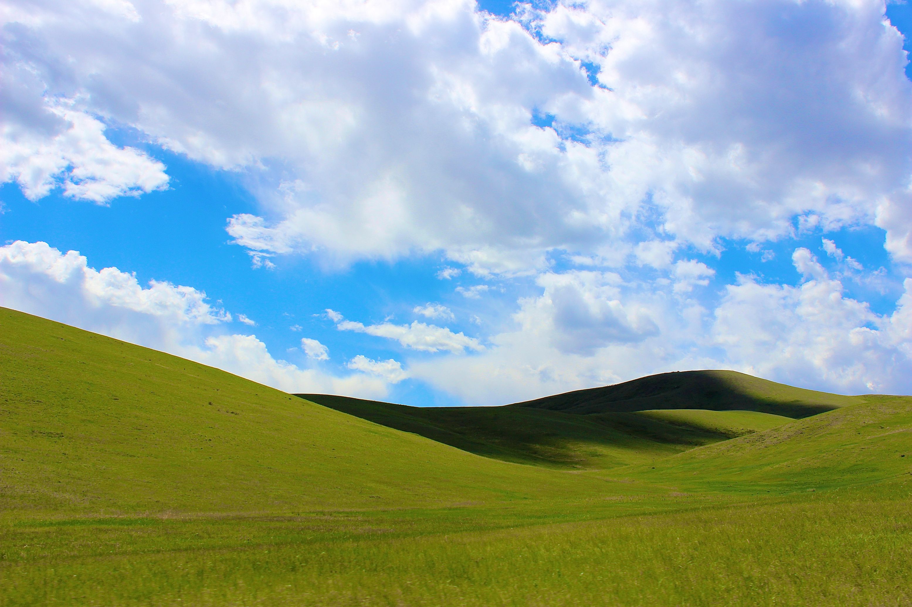 A Photo I Took In Mongolia, Though It Would Be Appropriate - Grassland , HD Wallpaper & Backgrounds